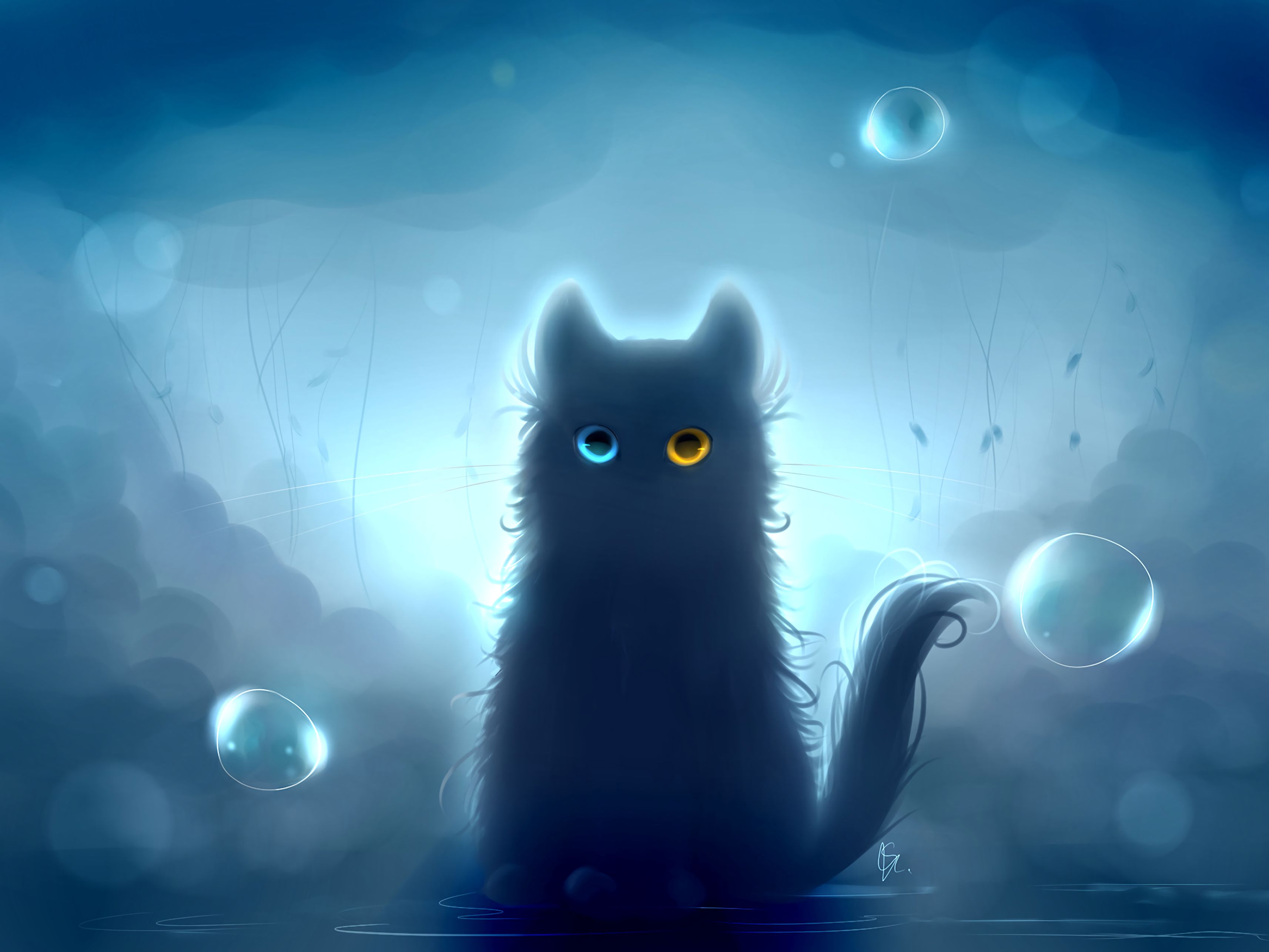 black cat, art, cat, heterochromia
