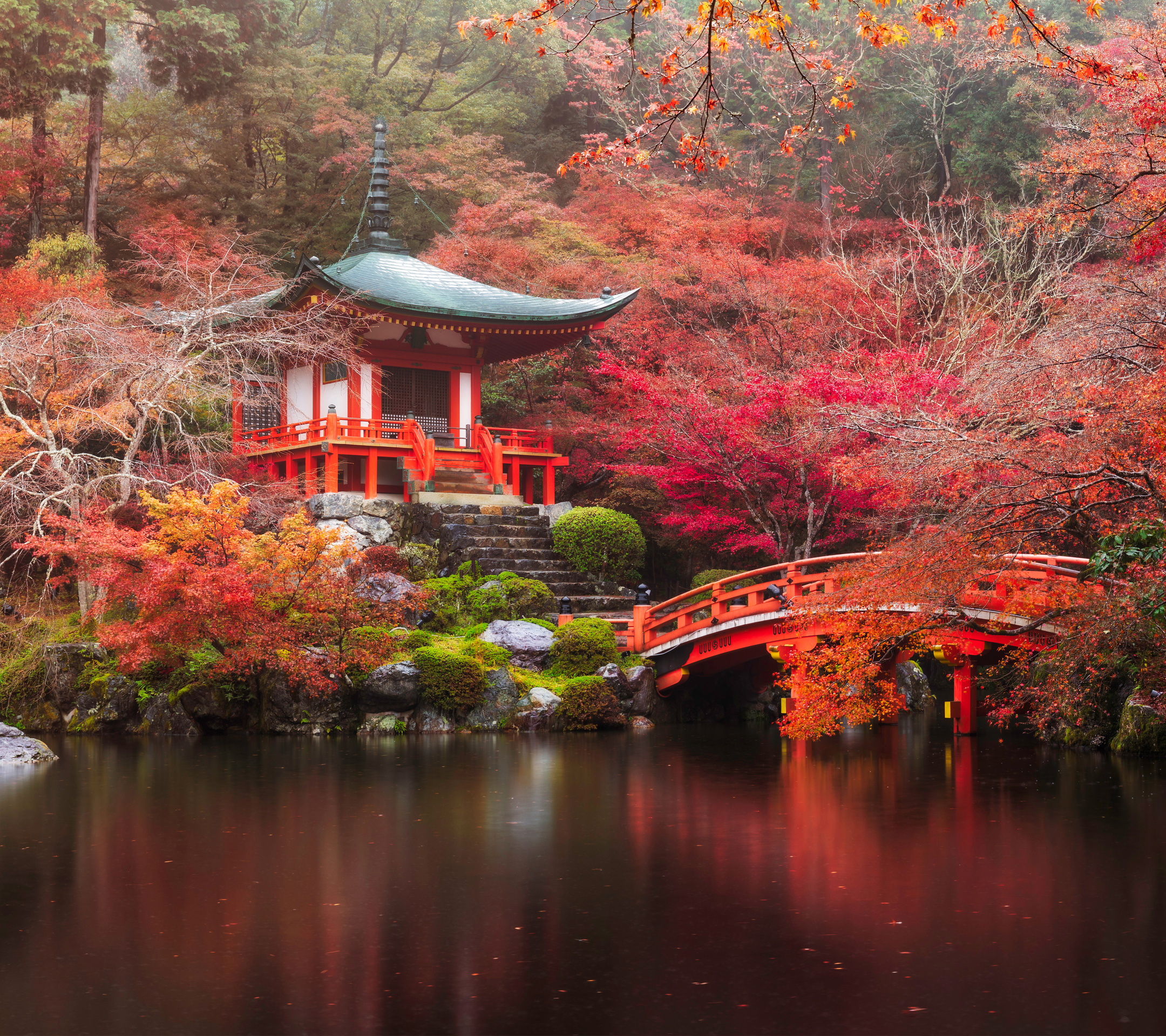 無料モバイル壁紙自然, 橋, 木, 秋, 公園, パゴダ, 日本, 寺院, 池, 写真撮影, 京都, 醍醐寺をダウンロードします。