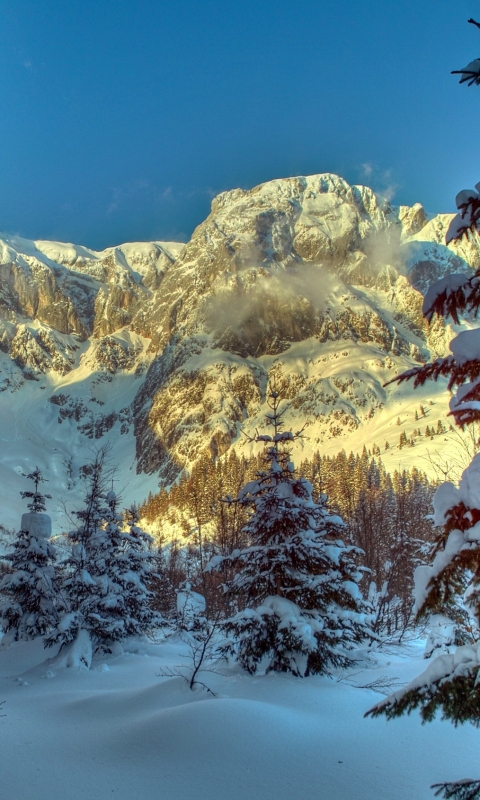 Descarga gratuita de fondo de pantalla para móvil de Invierno, Tierra/naturaleza.