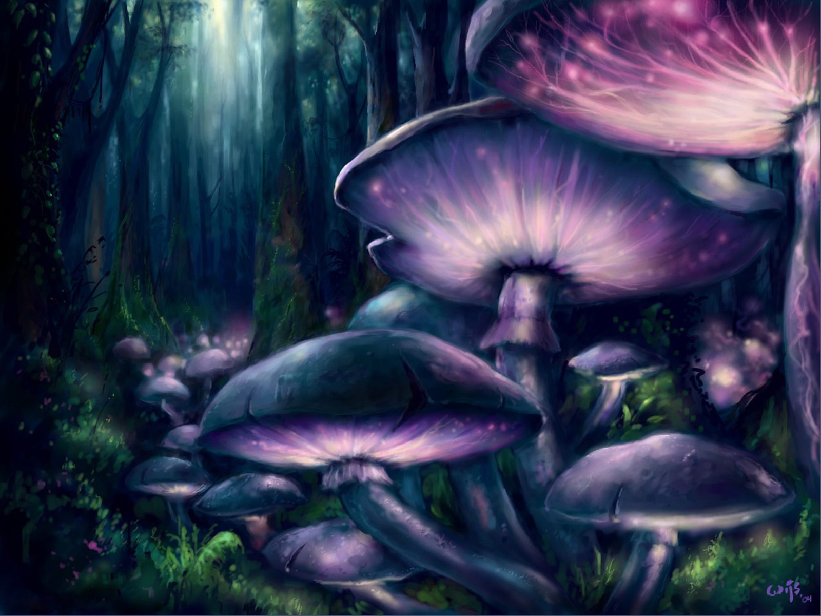 Free download wallpaper Fantasy, Forest, Tree, Mushroom, Purple on your PC desktop