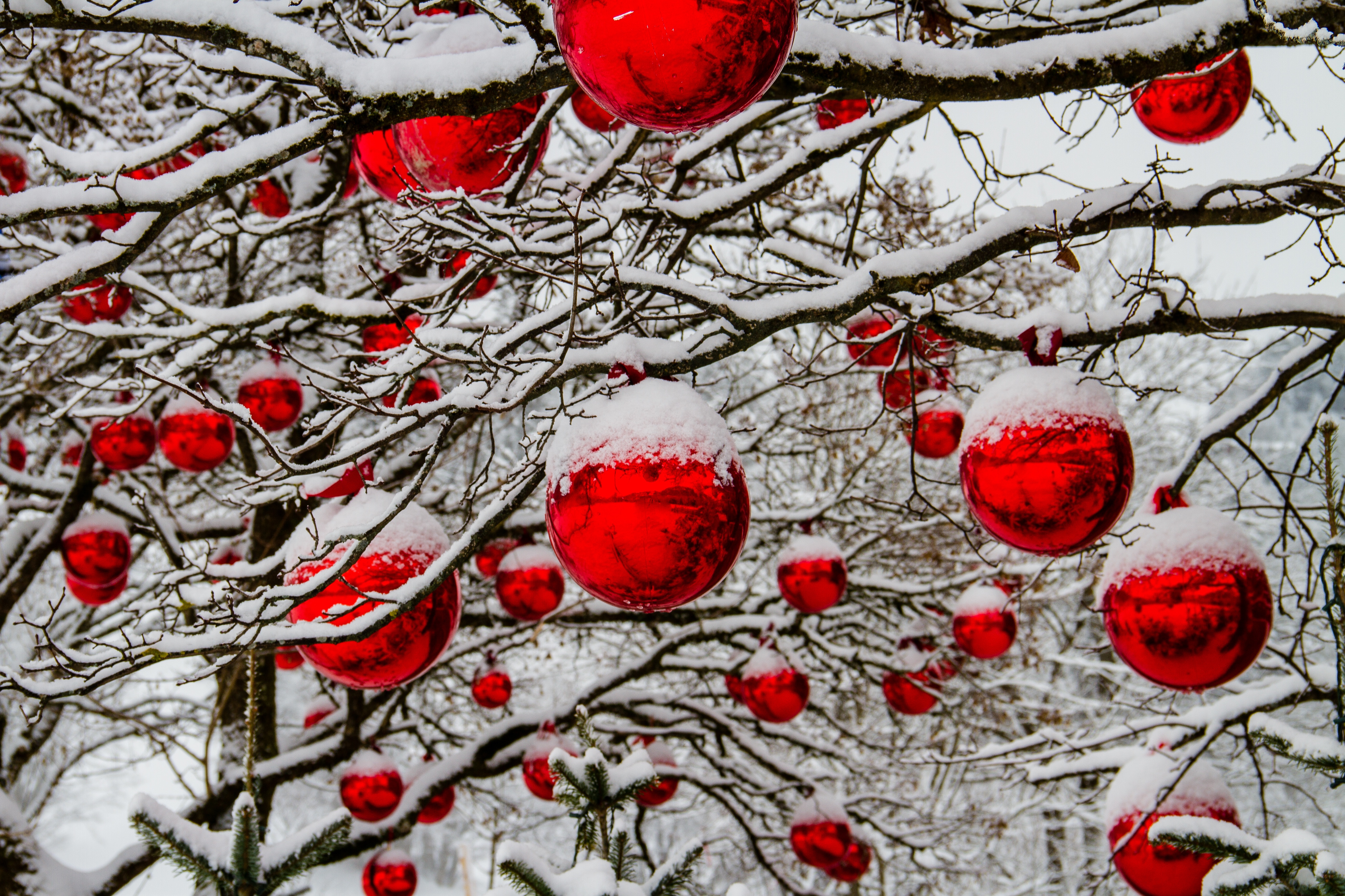 Free download wallpaper Winter, Snow, Christmas, Holiday, Christmas Ornaments, Bauble on your PC desktop