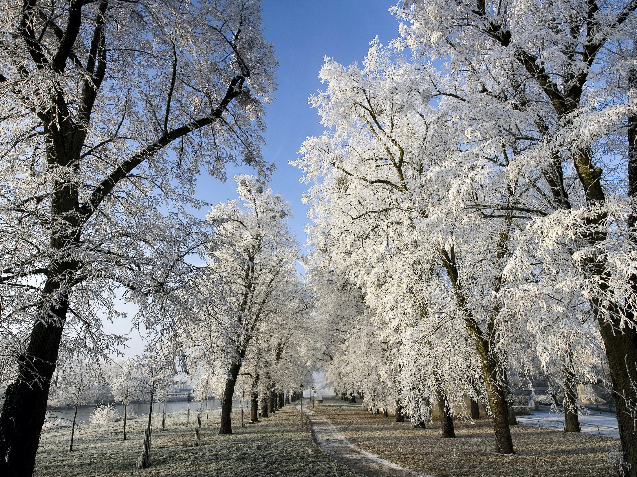 Handy-Wallpaper Winter, Erde/natur kostenlos herunterladen.