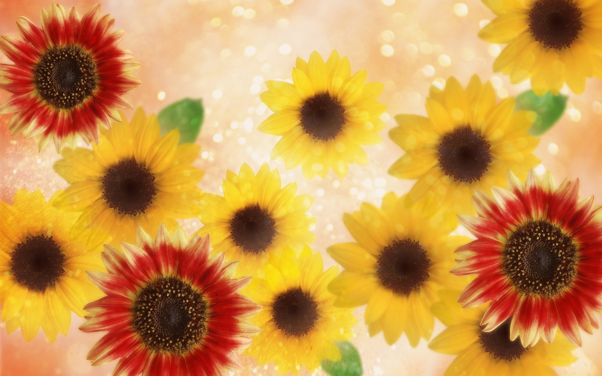 Завантажити шпалери безкоштовно Квіти, Рослини, Соняшники картинка на робочий стіл ПК
