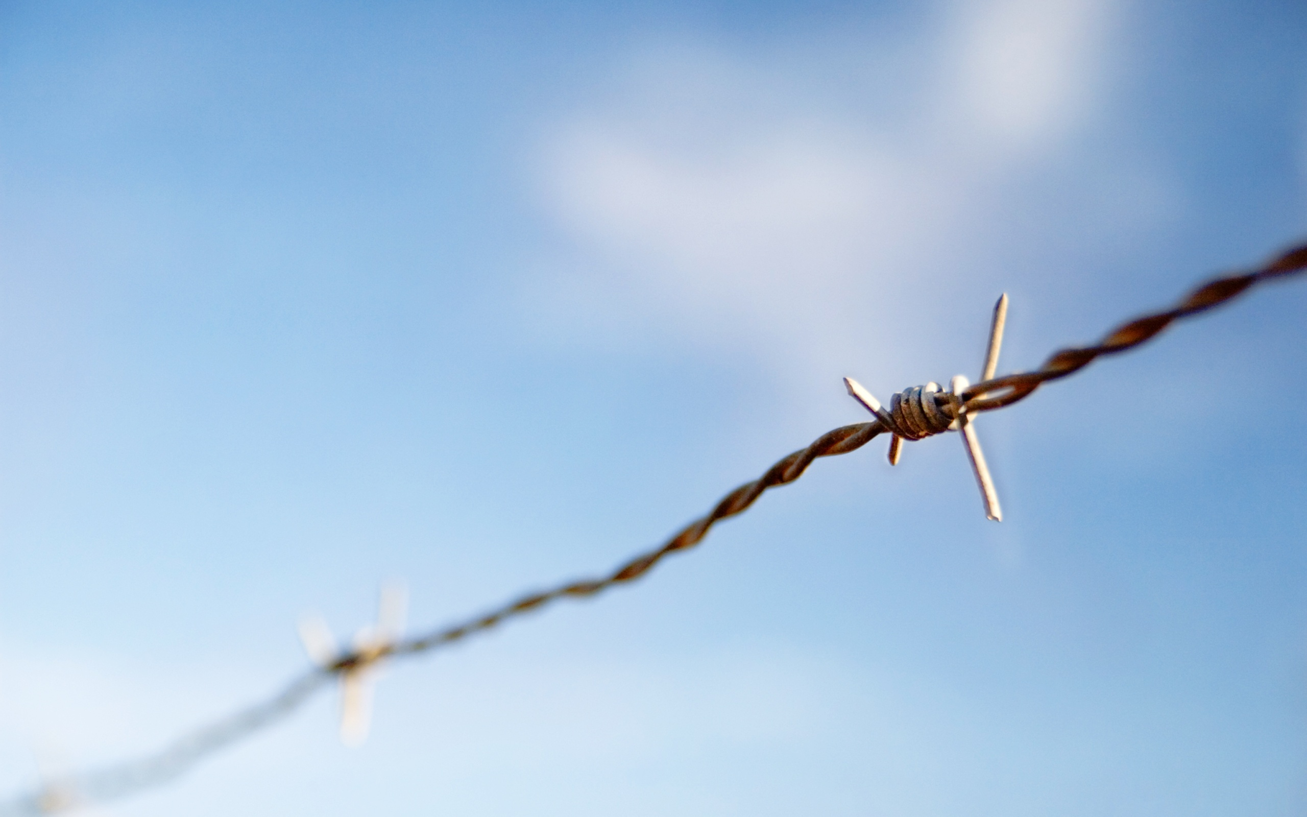 man made, barb wire, wire