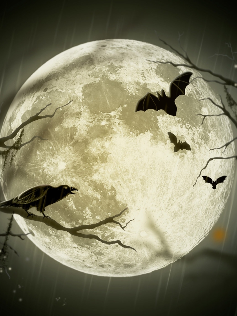 Скачать картинку Птицы, Луна, Птица, Хэллоуин, Ворона, Летучая Мышь, Праздничные в телефон бесплатно.