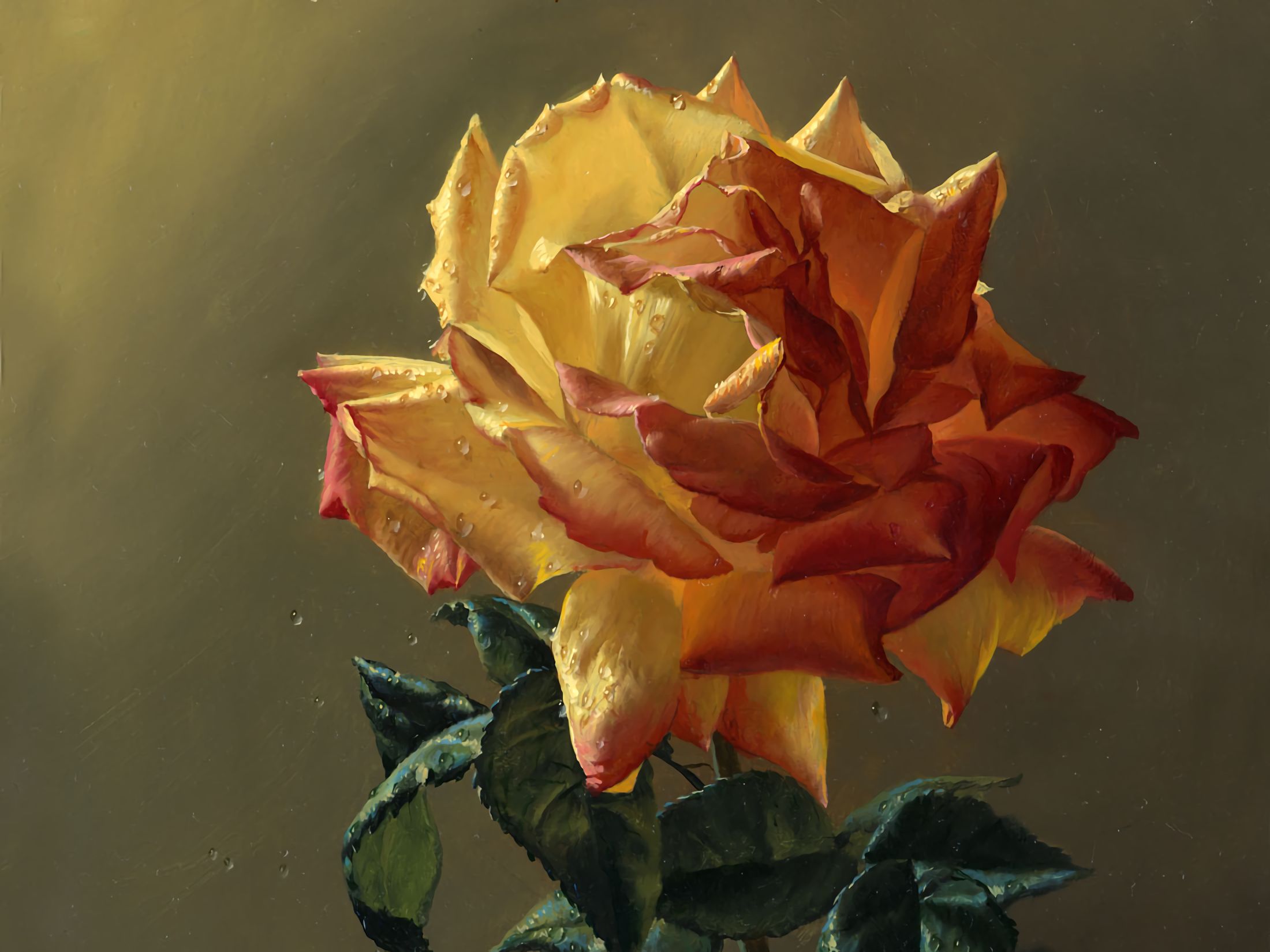 earth, rose, close up, orange (color), stem, yellow flower, flowers