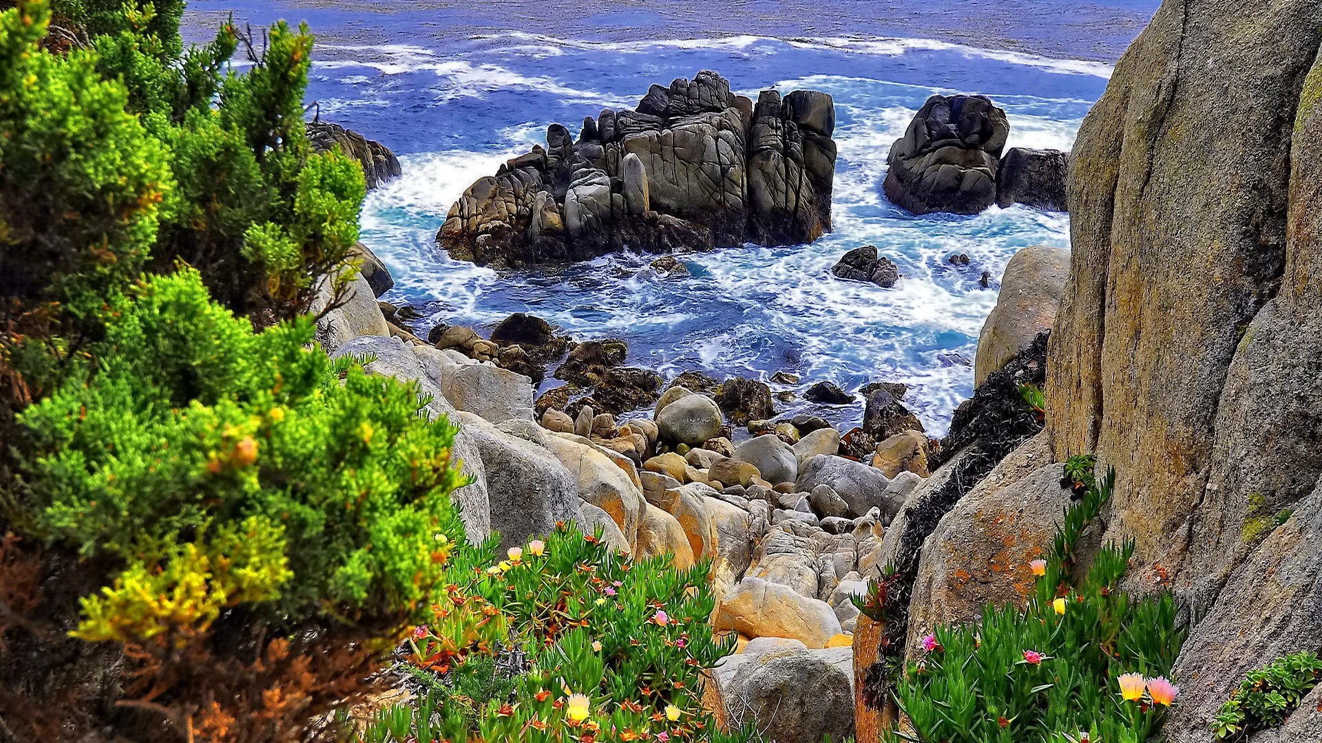 Laden Sie das Küste, Baum, Ozean, Meer, Erde/natur-Bild kostenlos auf Ihren PC-Desktop herunter