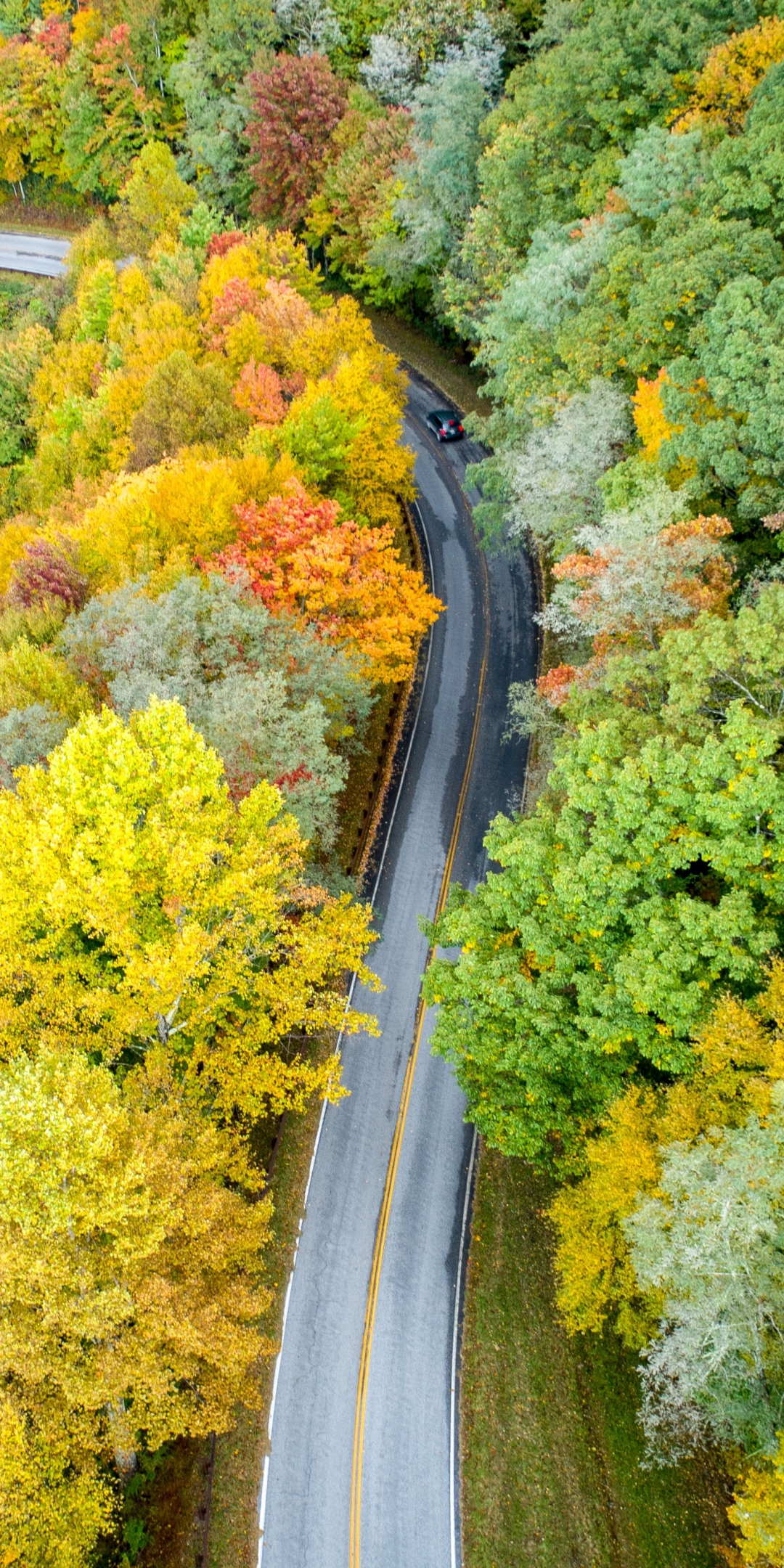 Download mobile wallpaper Road, Forest, Photography, Aerial for free.