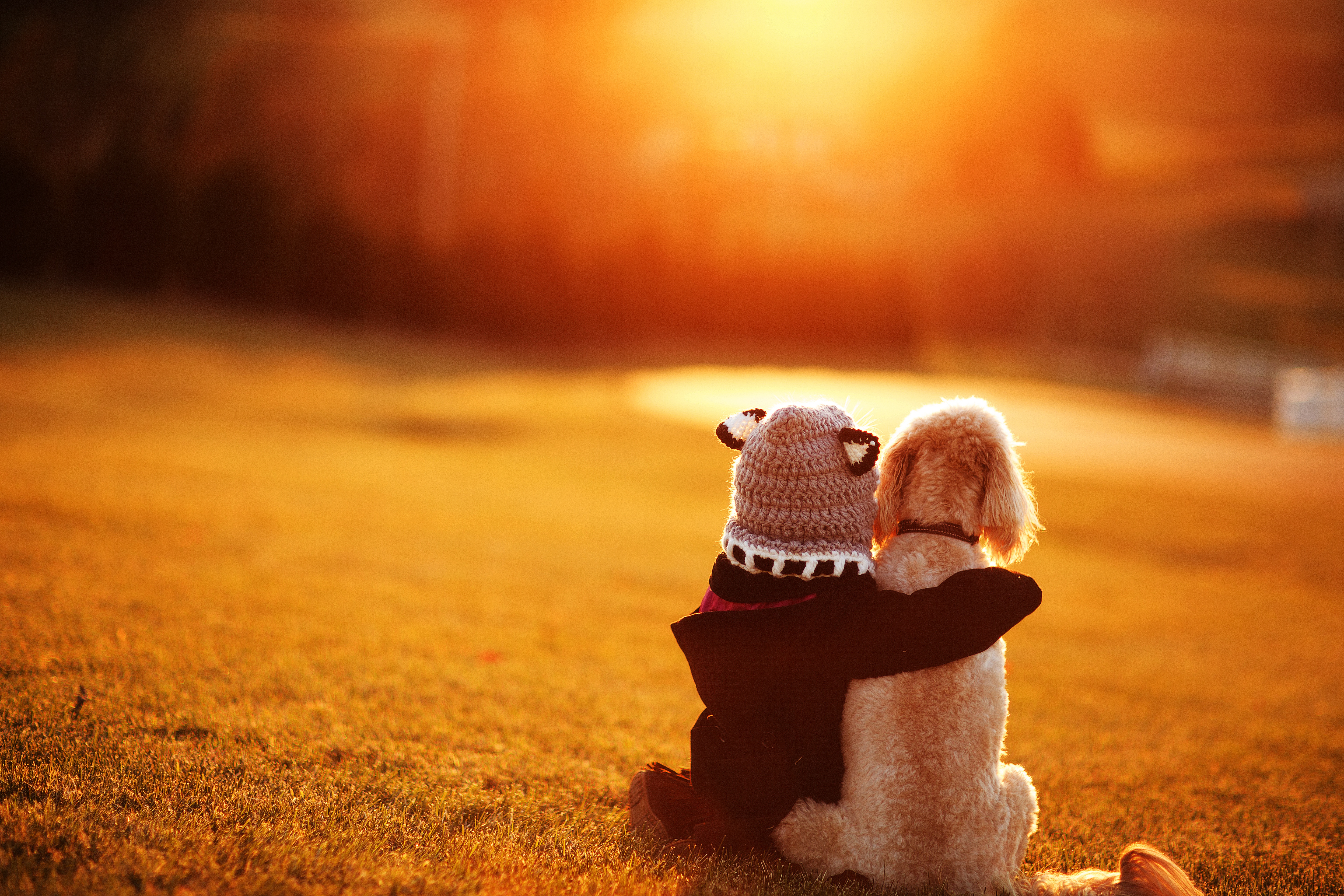 Download mobile wallpaper Sunset, Dog, Child, Hat, Photography, Depth Of Field for free.