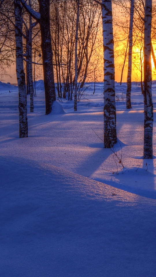 Handy-Wallpaper Winter, Natur, Schnee, Baum, Sonnenuntergang, Erde/natur kostenlos herunterladen.