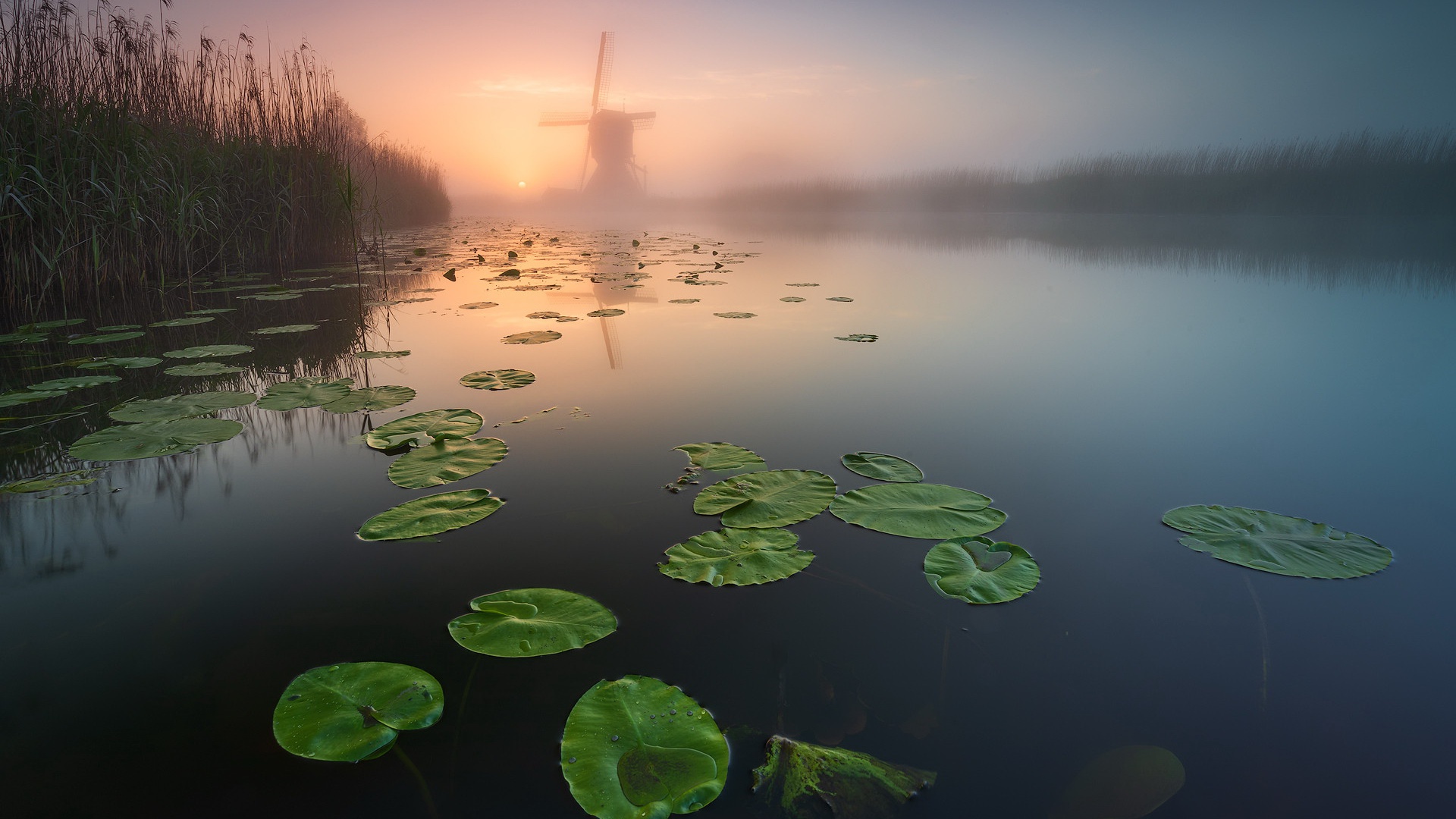 Download mobile wallpaper Fog, Earth, River, Windmill, Lily Pad for free.