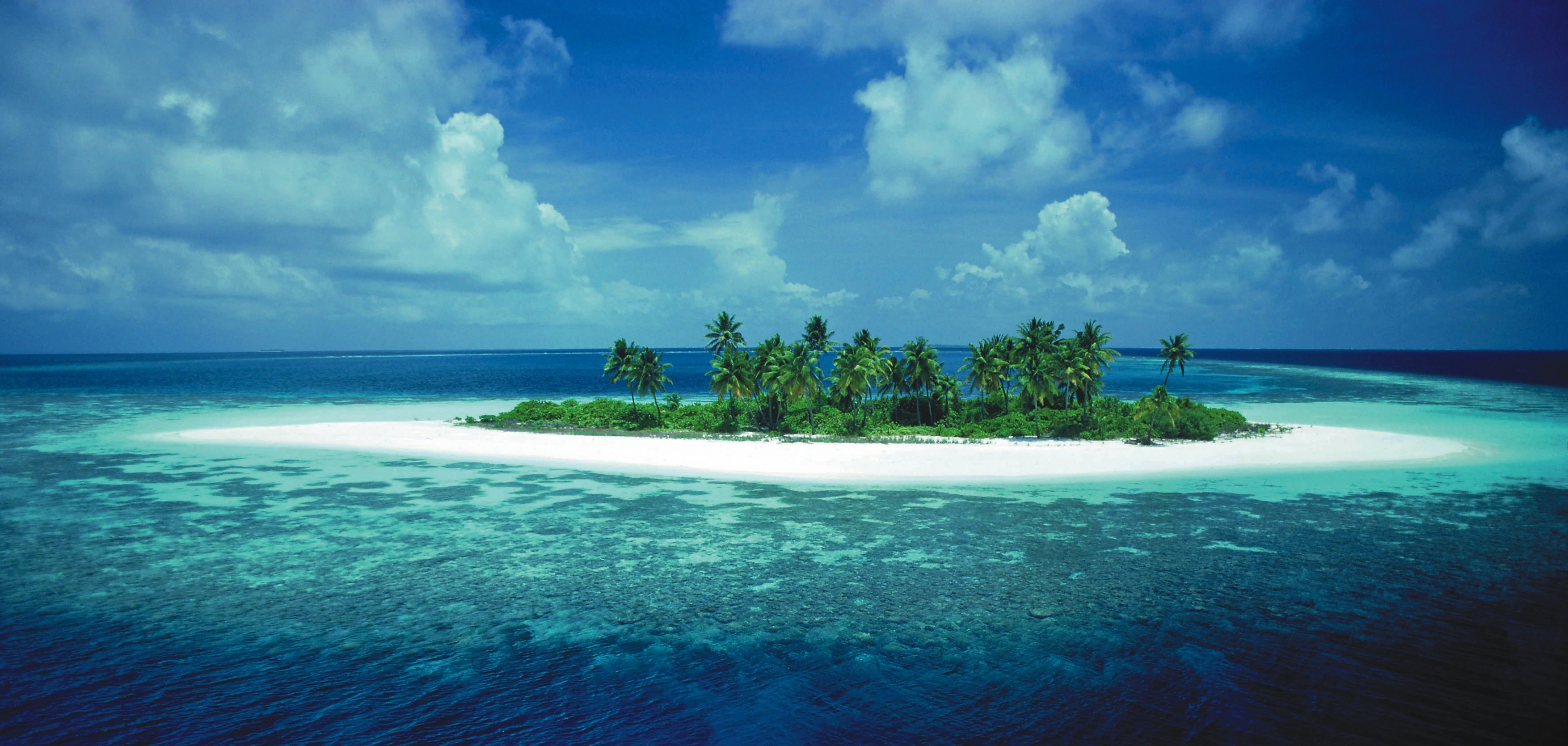 Handy-Wallpaper Natur, Horizont, Ozean, Palme, Insel, Wolke, Erde/natur kostenlos herunterladen.