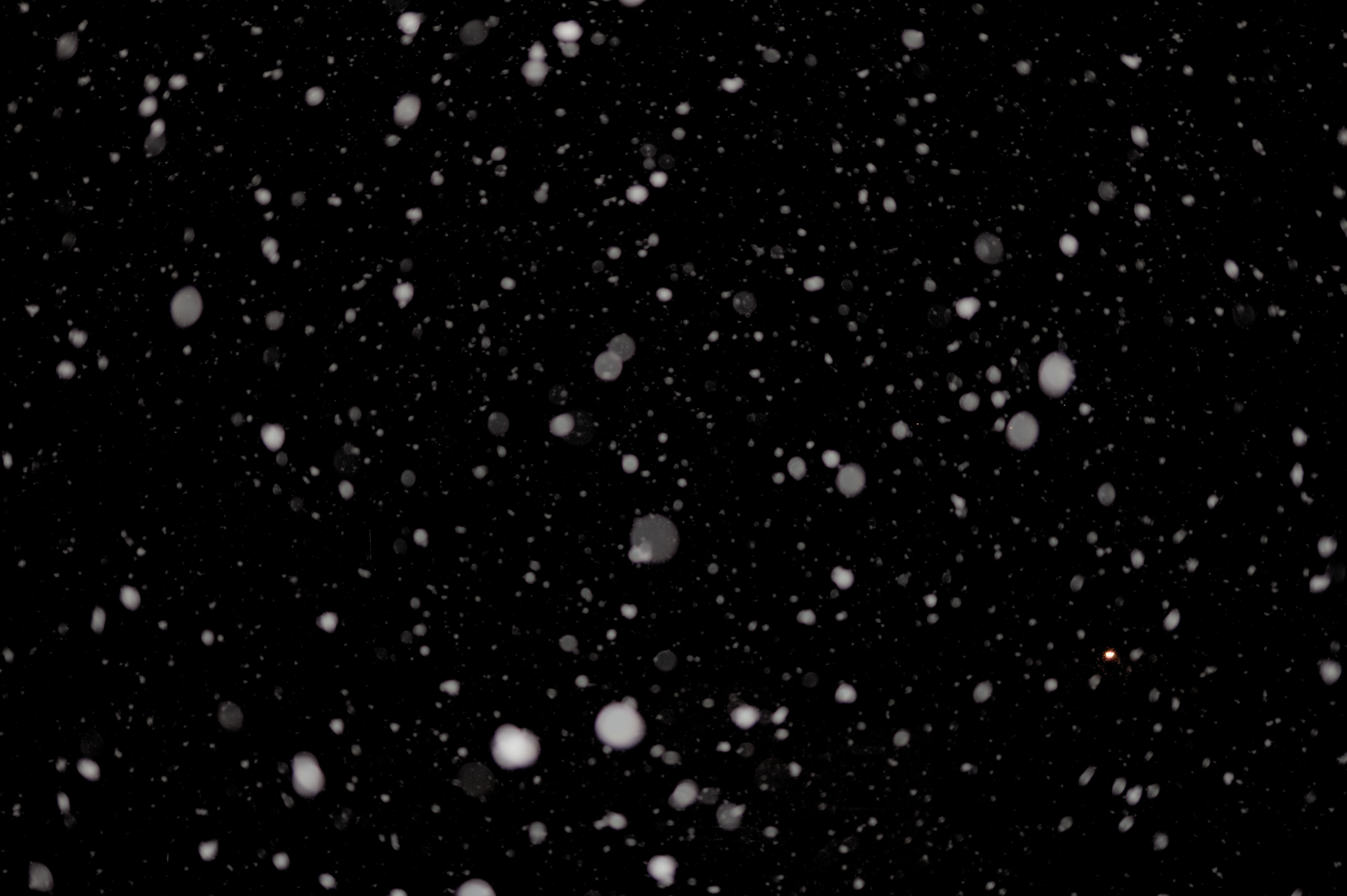 snow, black, glare, points, point Desktop home screen Wallpaper