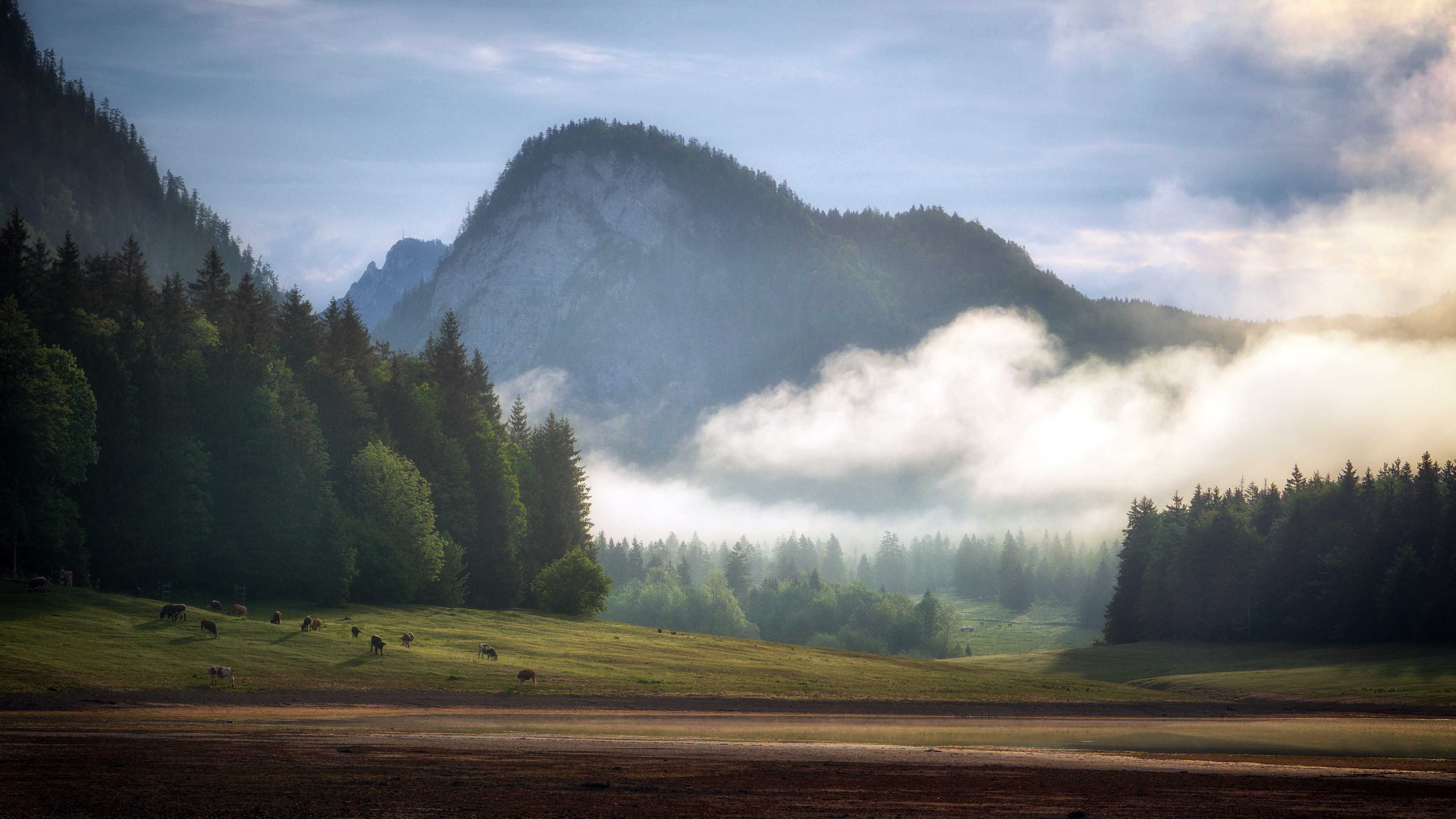 Free download wallpaper Landscape, Nature, Mountain, Fog, Photography, Cow on your PC desktop