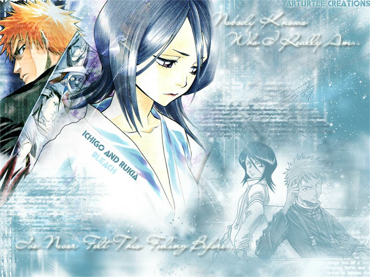 Téléchargez gratuitement l'image Bleach, Animé, Rukia Kuchiki, Ichigo Kurosaki sur le bureau de votre PC