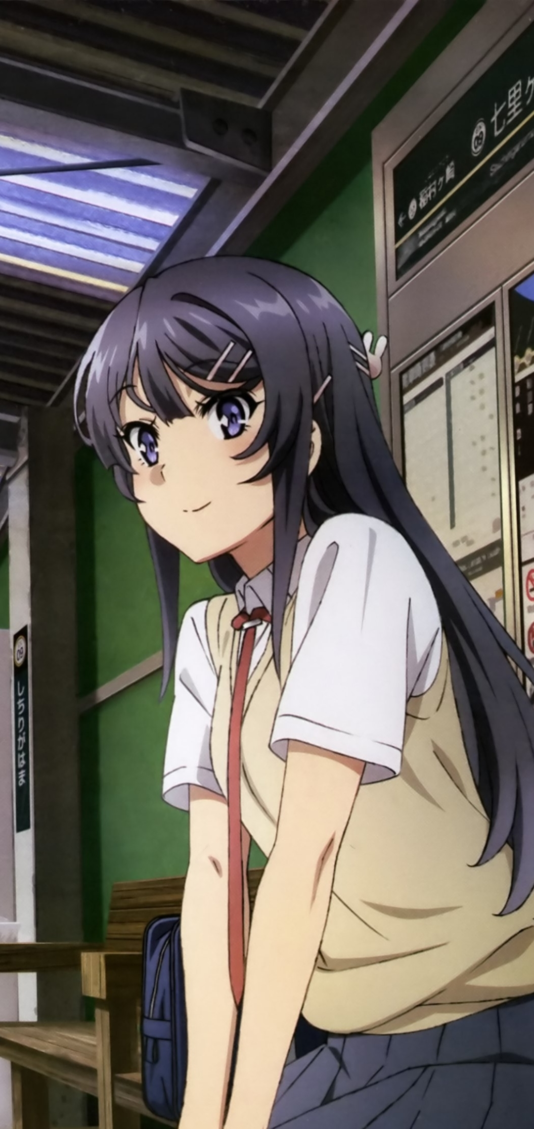 Baixar papel de parede para celular de Anime, Mai Sakurajima, Rascal Does Not Dream Of Bunny Girl Senpai gratuito.