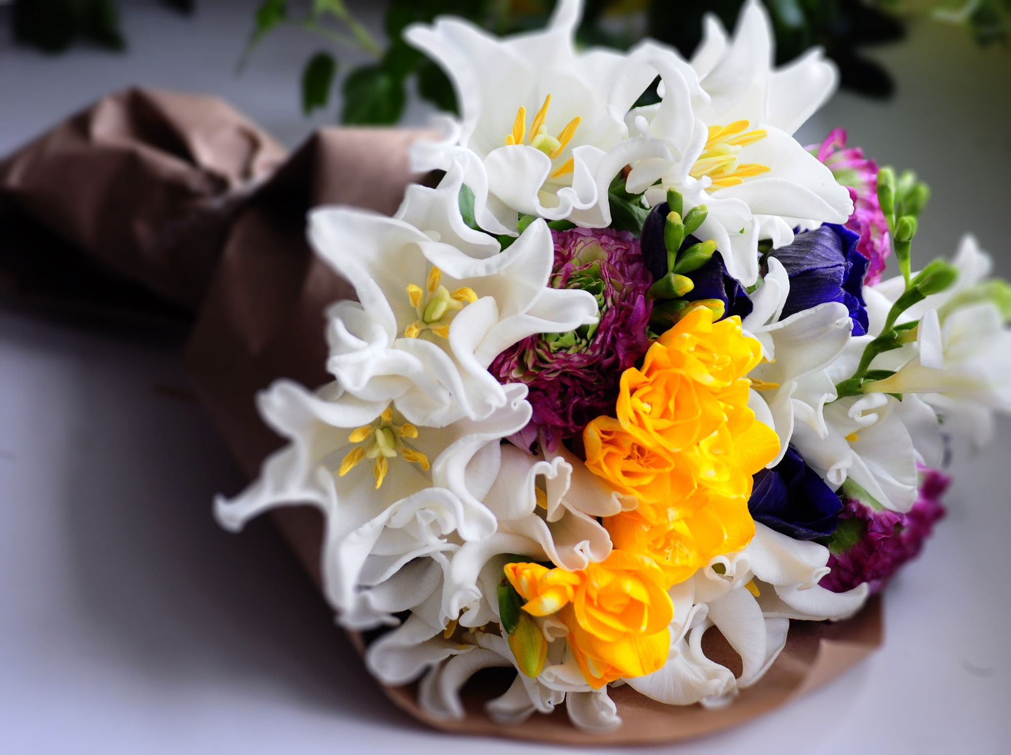 Download mobile wallpaper Flower, Bouquet, White Flower, Man Made for free.
