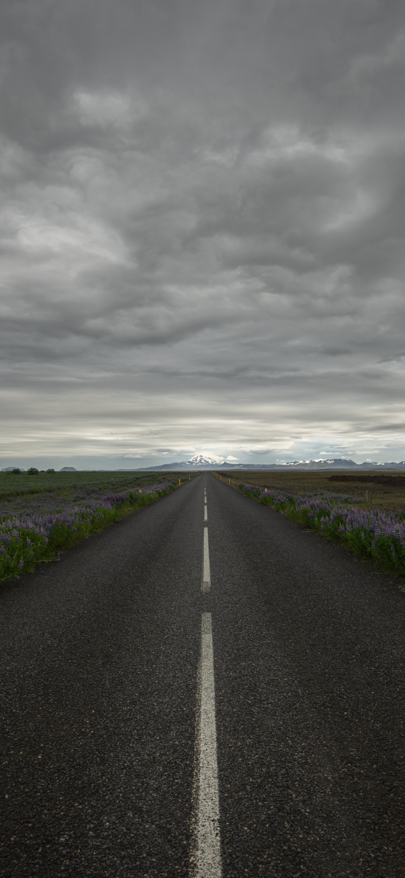 Download mobile wallpaper Road, Cloud, Iceland, Purple Flower, Man Made for free.