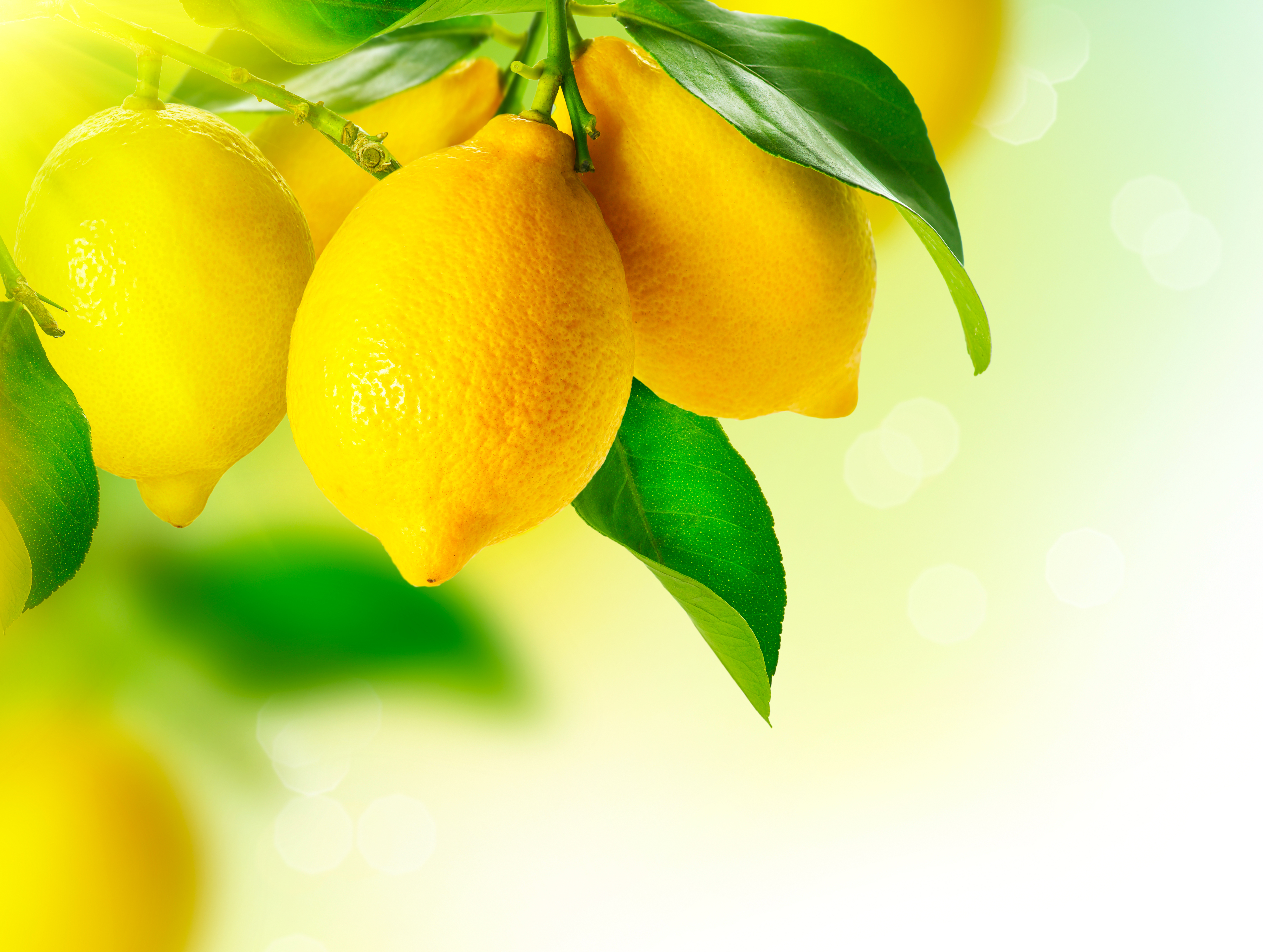 Download mobile wallpaper Food, Lemon, Fruit for free.