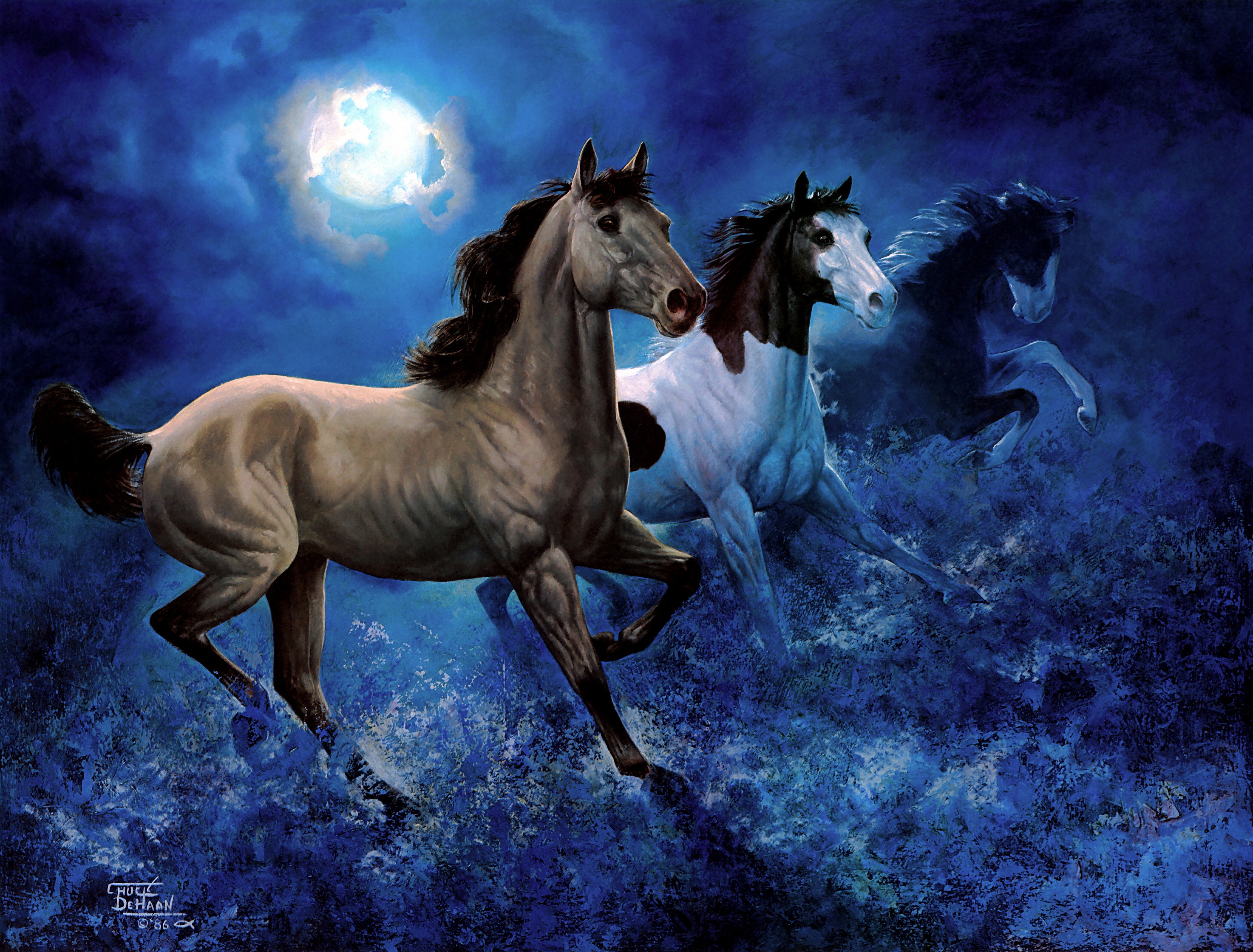 Скачать картинку Животные, Небо, Ночь, Луна, Лошадь, Бег в телефон бесплатно.