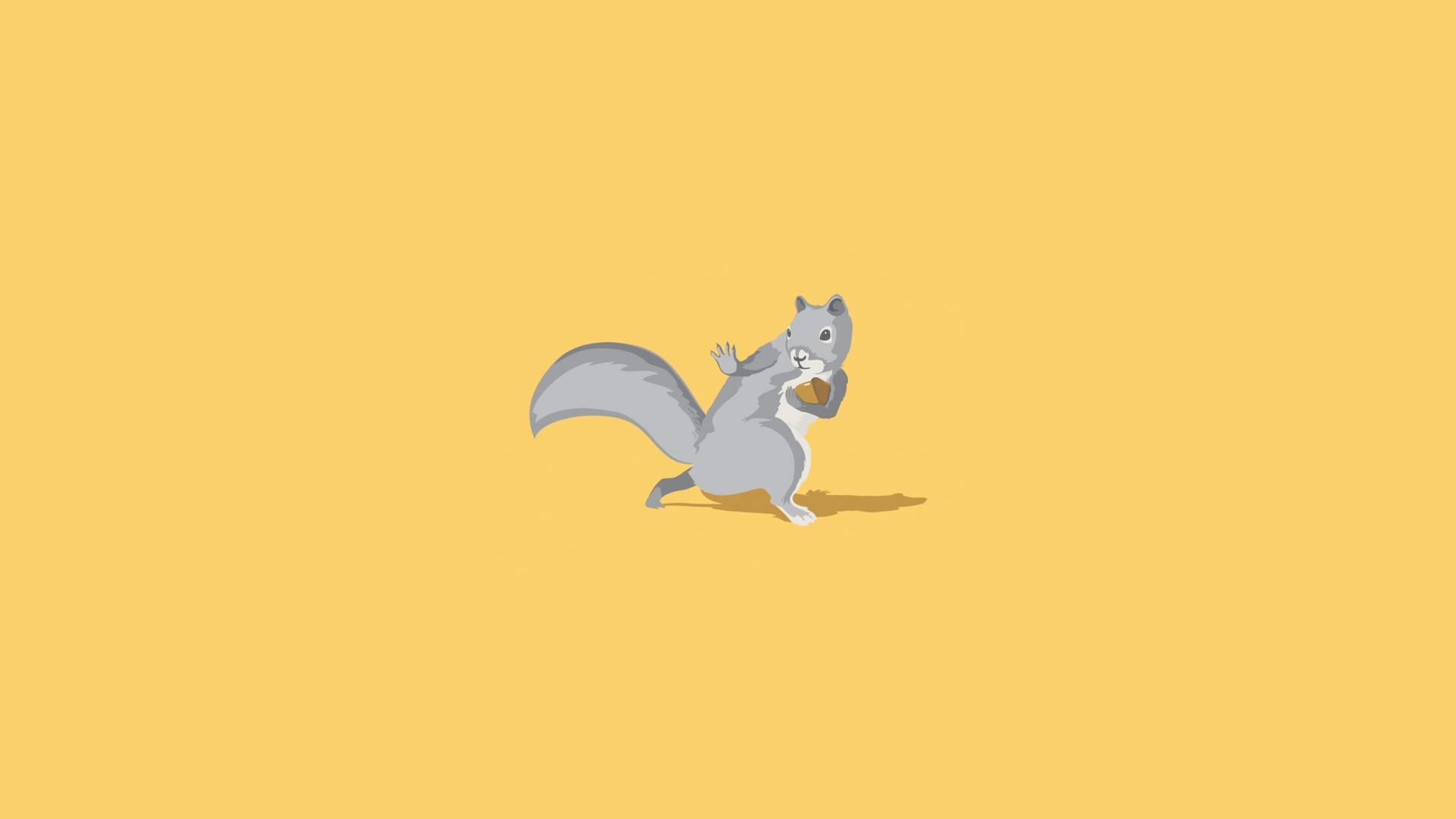 Free download wallpaper Squirrel, Animal, Humor on your PC desktop