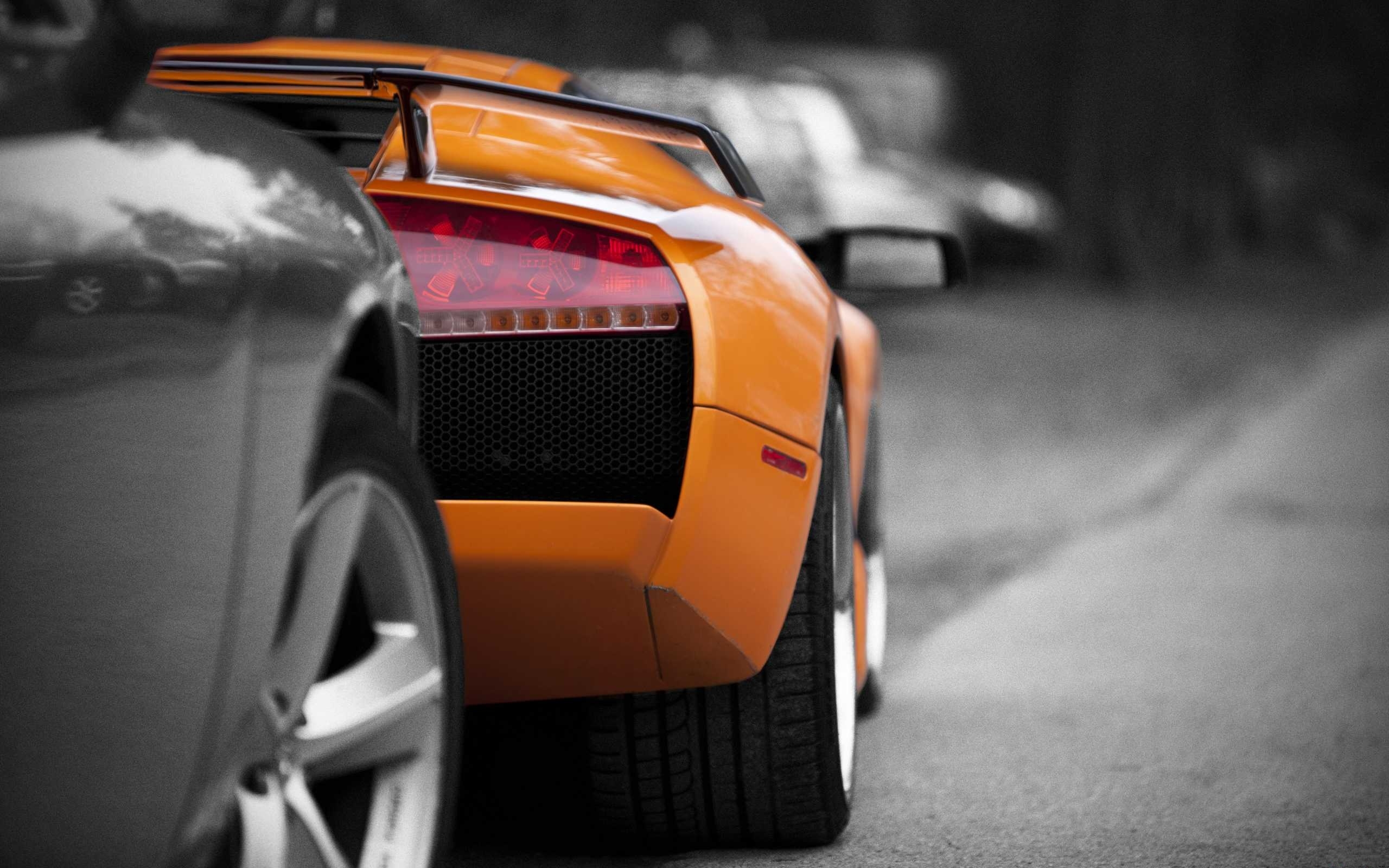 Laden Sie das Lamborghini Murcielago, Lamborghini, Fahrzeuge-Bild kostenlos auf Ihren PC-Desktop herunter