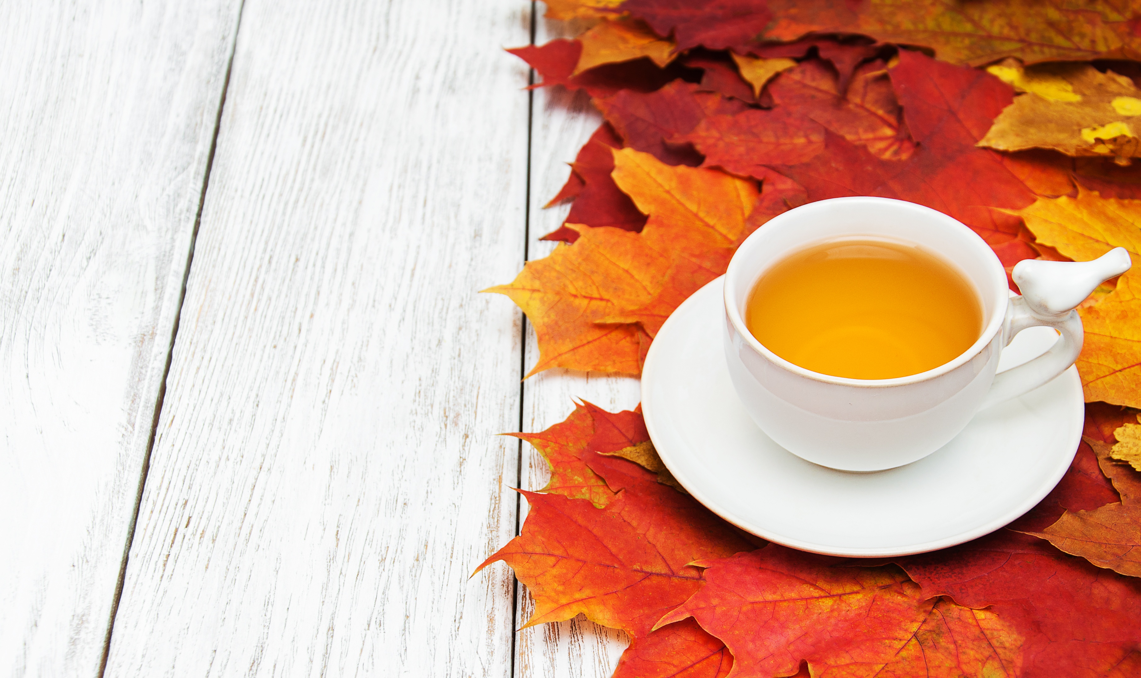 Free download wallpaper Food, Cup, Leaf, Drink, Tea on your PC desktop