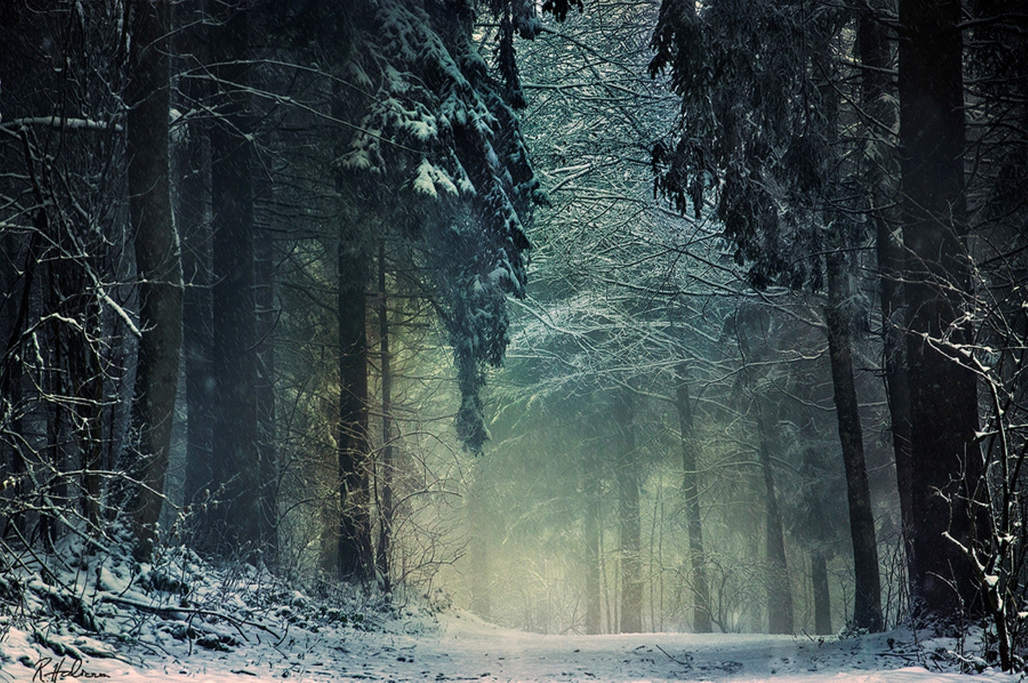 Téléchargez gratuitement l'image Hiver, Terre/nature sur le bureau de votre PC