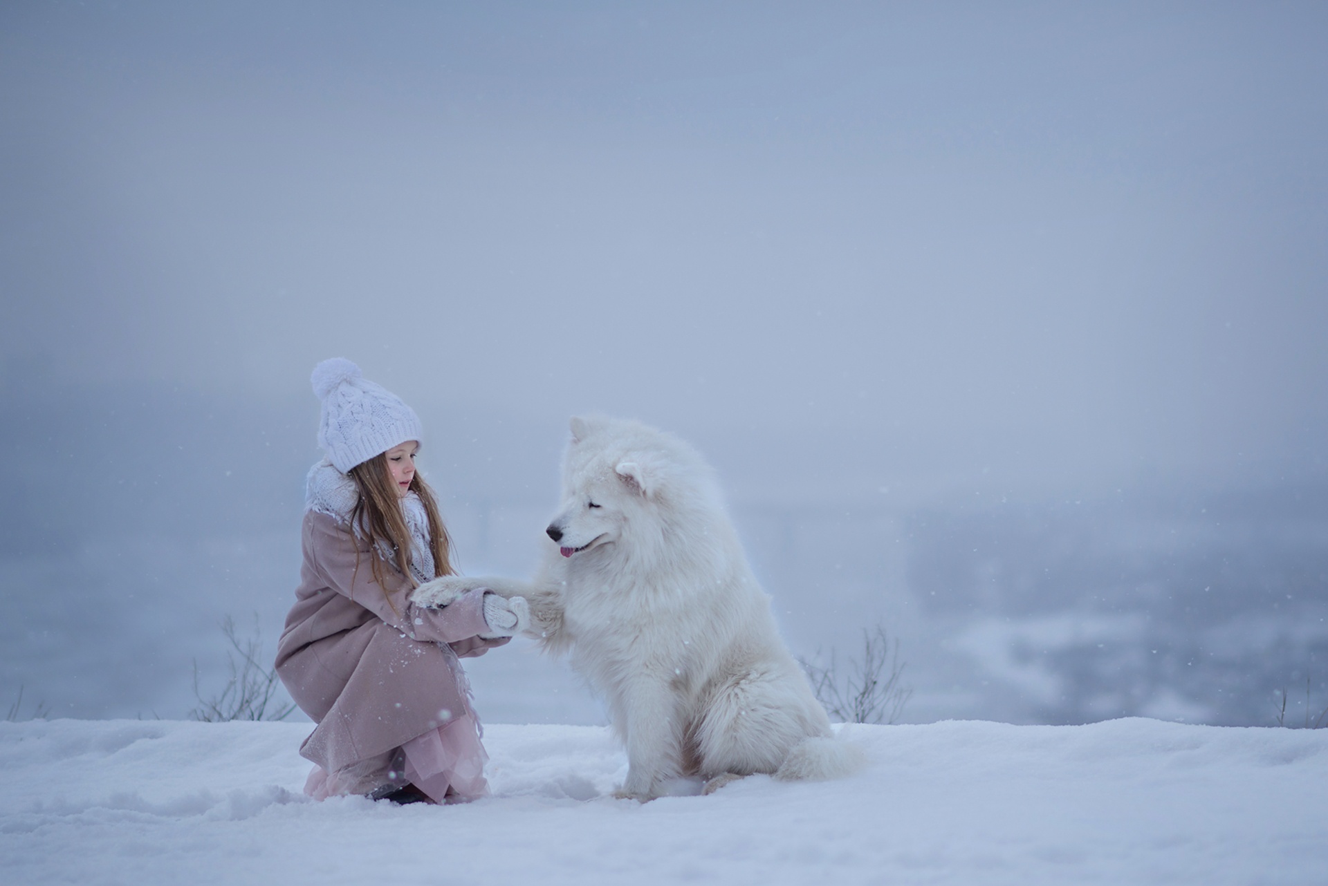 883709 скачать картинку зима, фотографии, ребенок, глубина резкости, собака, шляпа, малышка, самоедская собака, снег - обои и заставки бесплатно