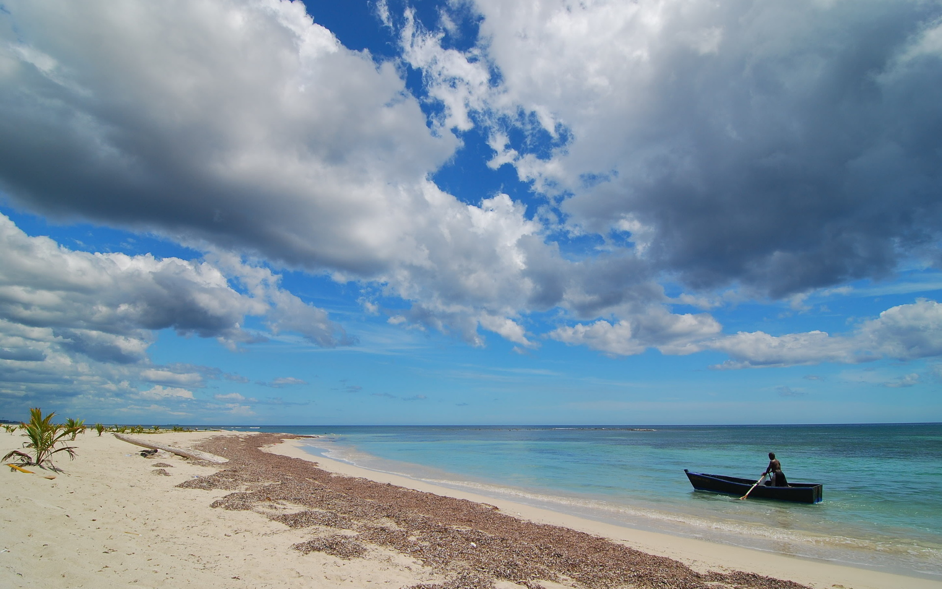 605558 Salvapantallas y fondos de pantalla Playa en tu teléfono. Descarga imágenes de  gratis