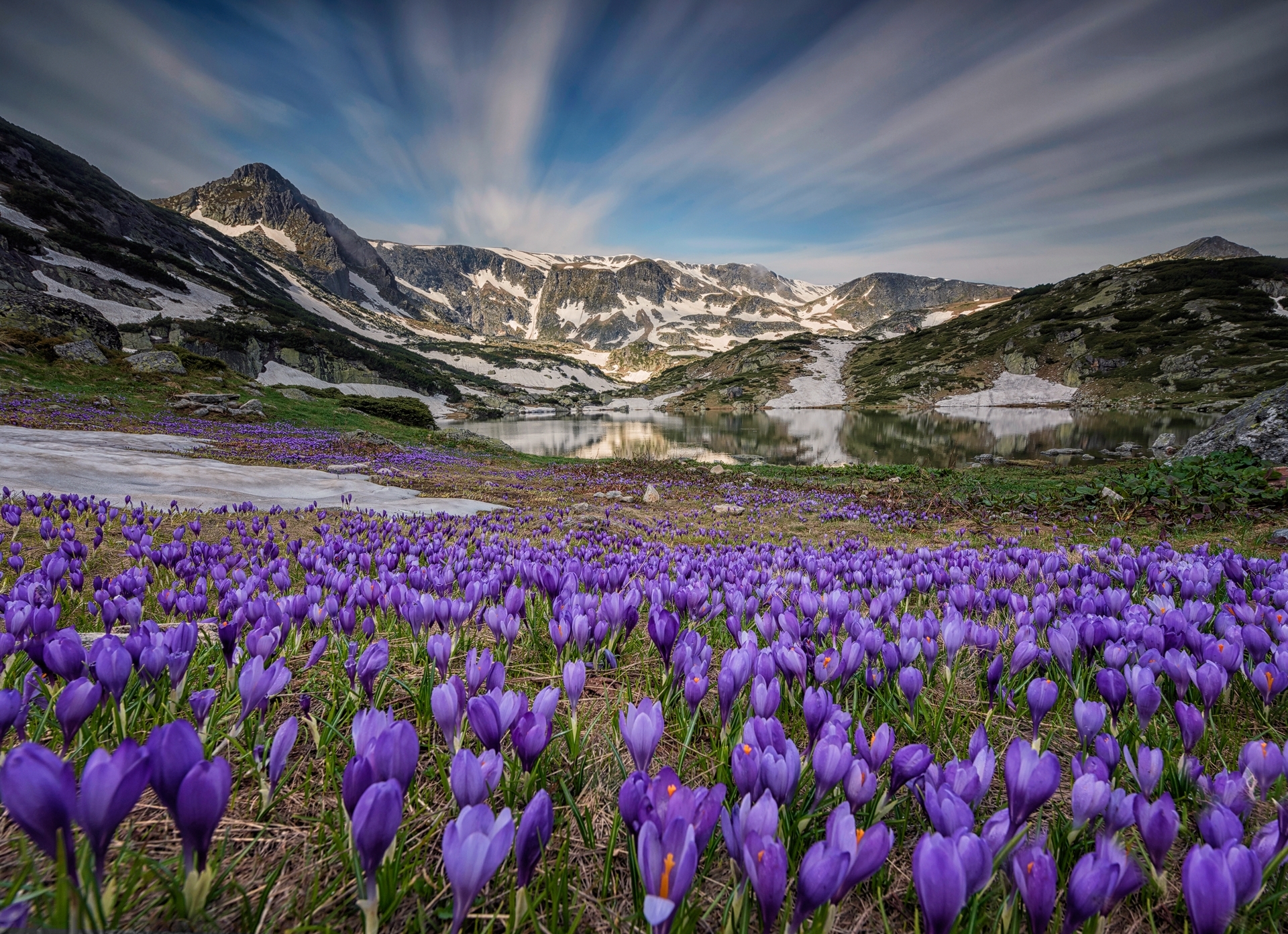 PCデスクトップに自然, フラワーズ, 湖, 山, 花, 地球, クロッカス, 紫色の花画像を無料でダウンロード