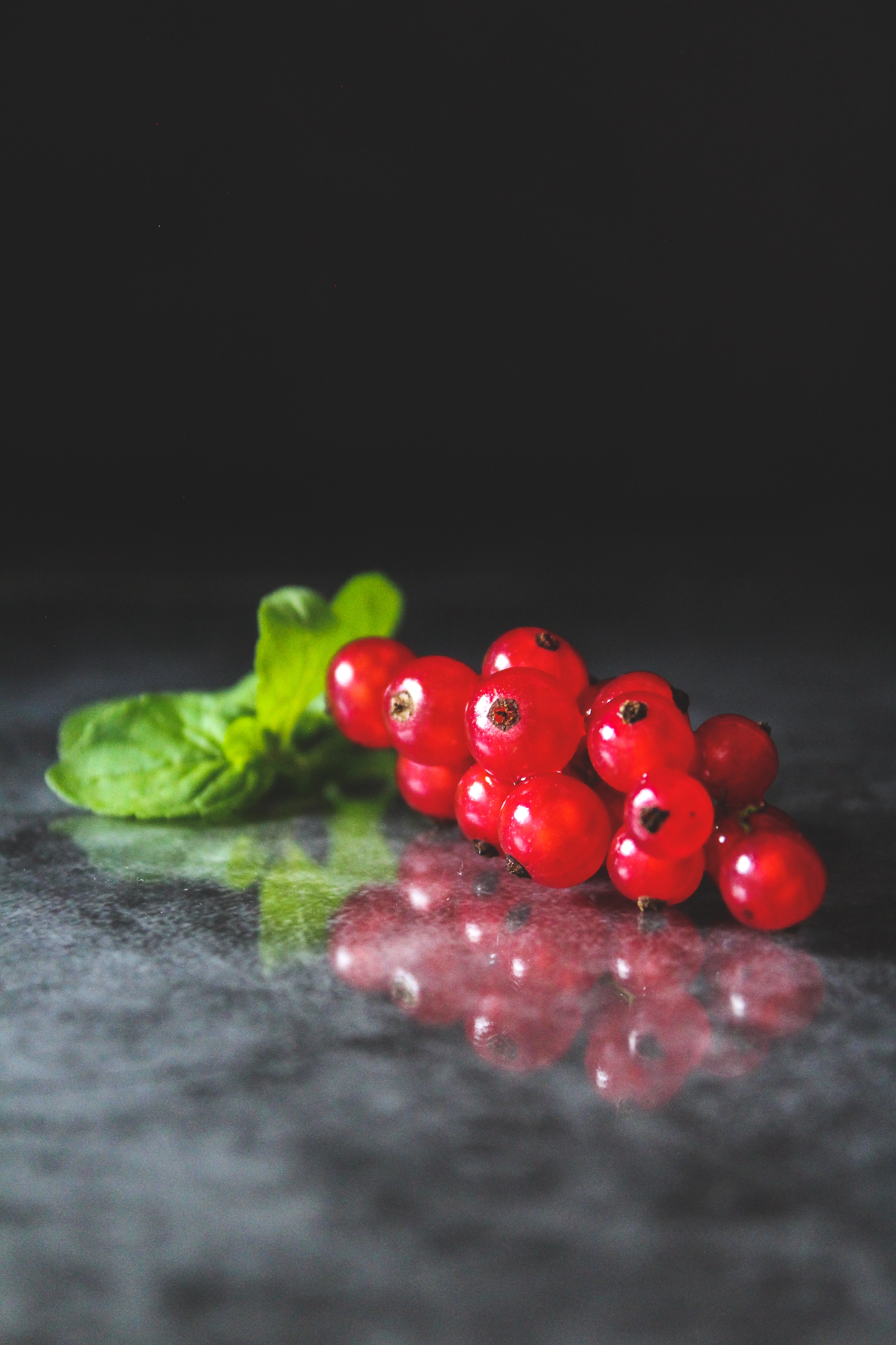 food, leaves, currant, red, berry, fruit HD wallpaper