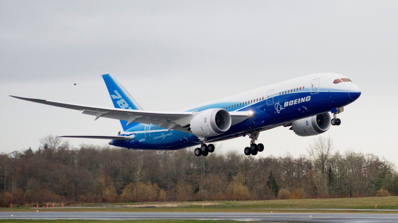 boeing 787 dreamliner, vehicles, airplane, aircraft