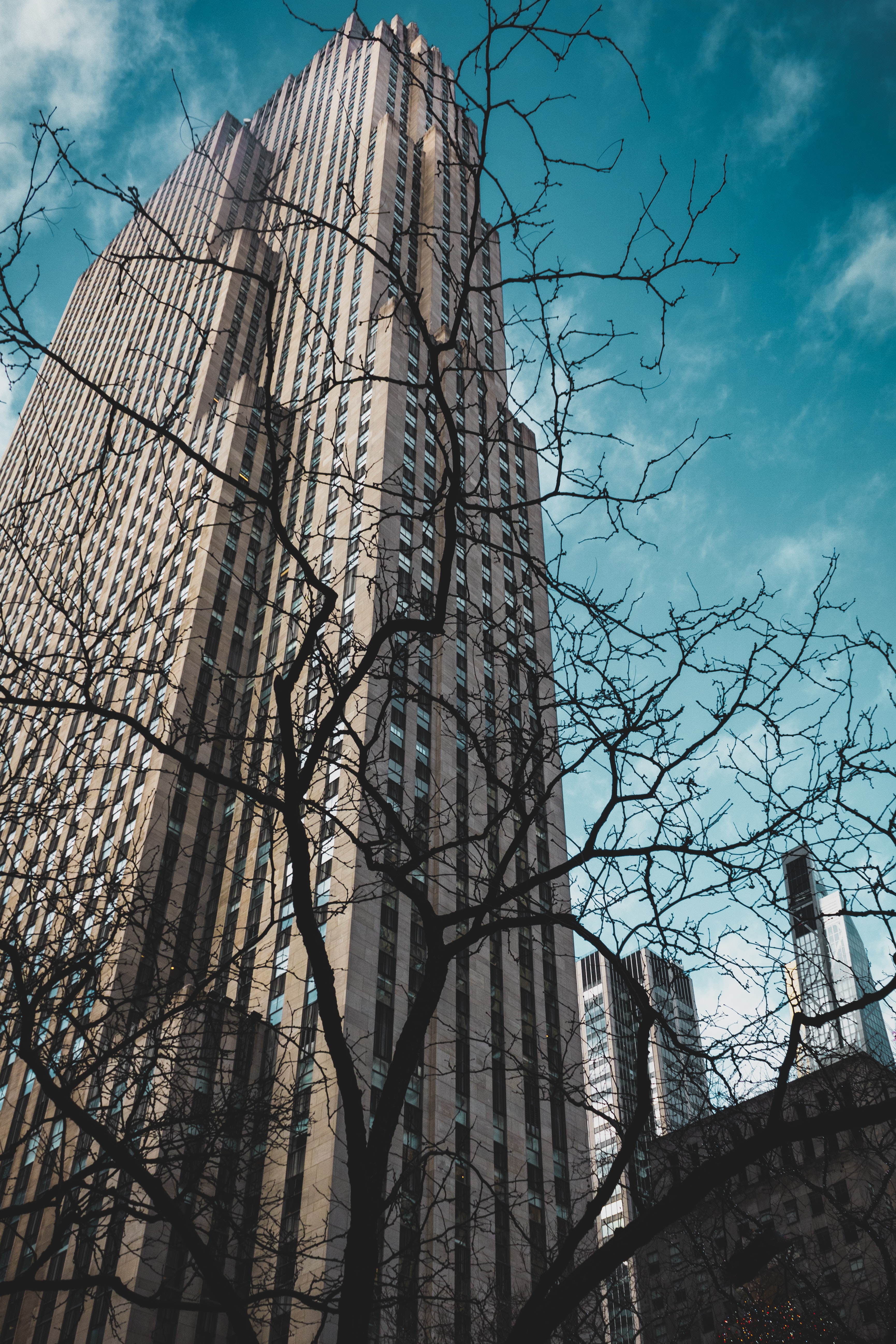 Cool Wallpapers cities, city, building, branches, bottom view