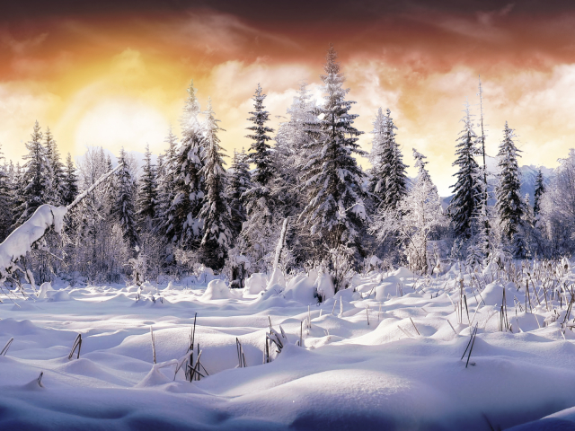 PCデスクトップに冬, 雪, 地球画像を無料でダウンロード