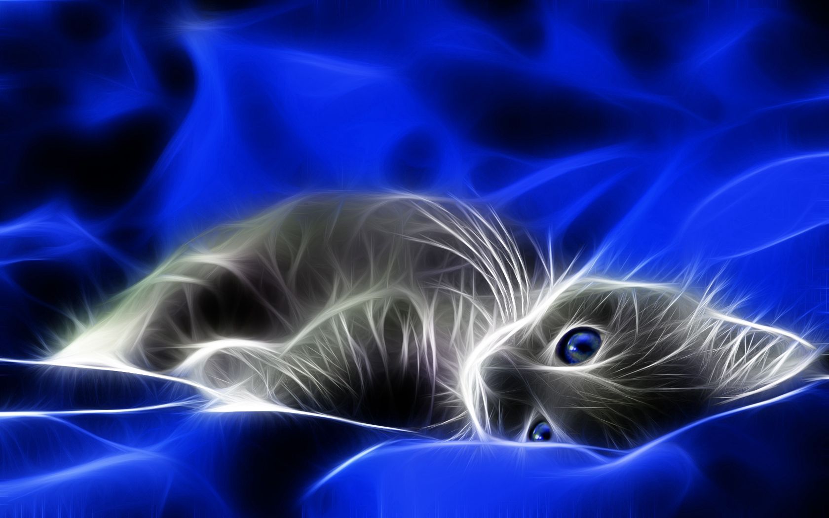 kitty, abstract, blue, kitten, grey, bed