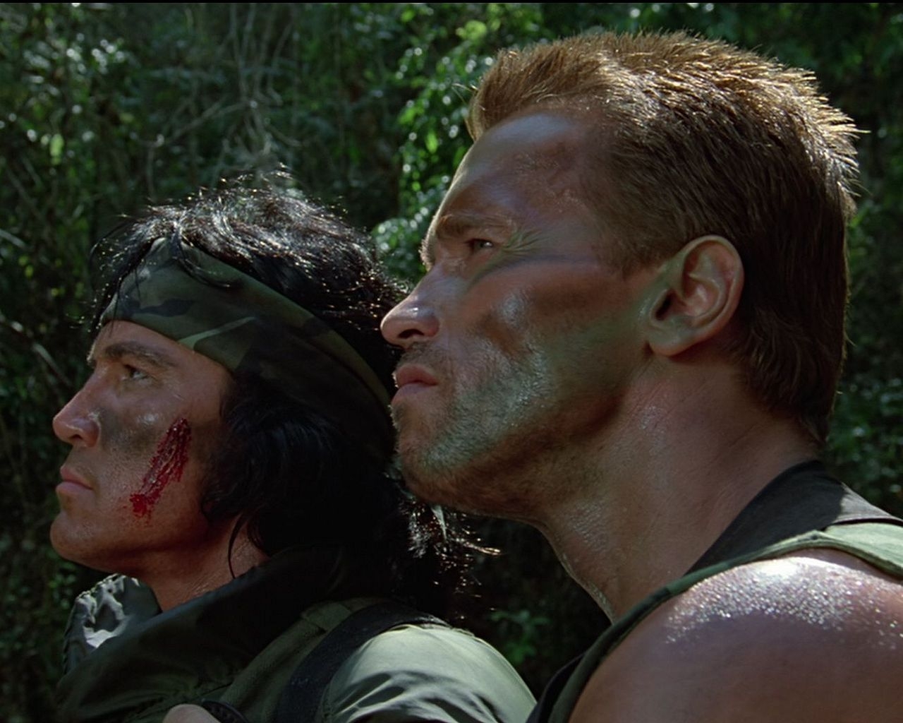 Baixar papel de parede para celular de Arnold Schwarzenegger, Filme, O Predador gratuito.