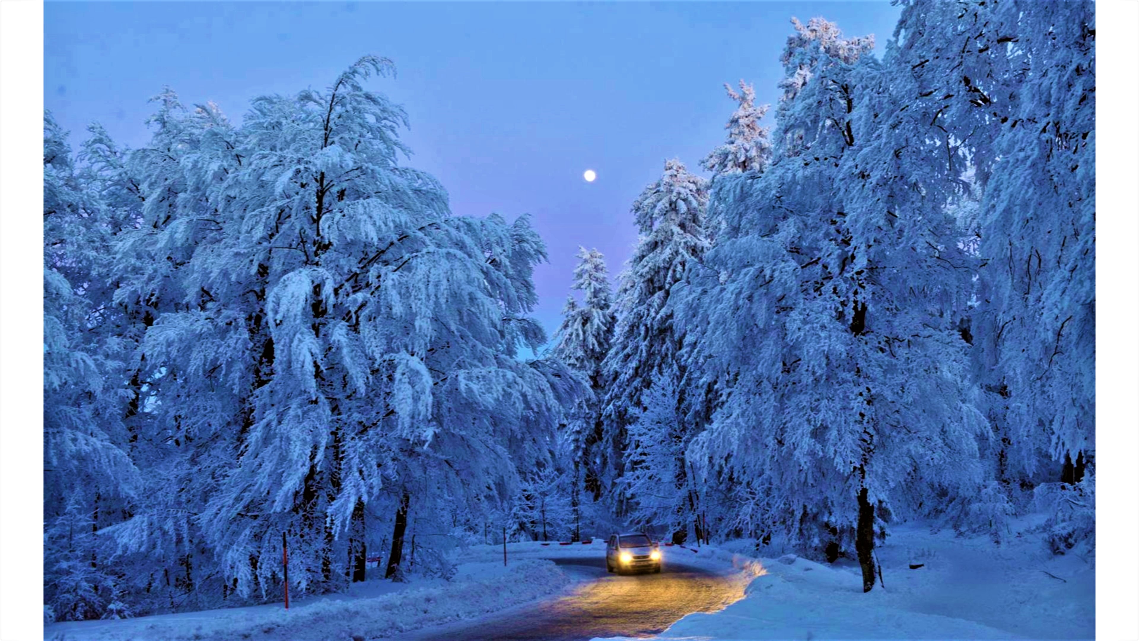 Скачать картинку Зима, Луна, Снег, Дорога, Лес, Дерево, Автомобиль, Сделано Человеком в телефон бесплатно.