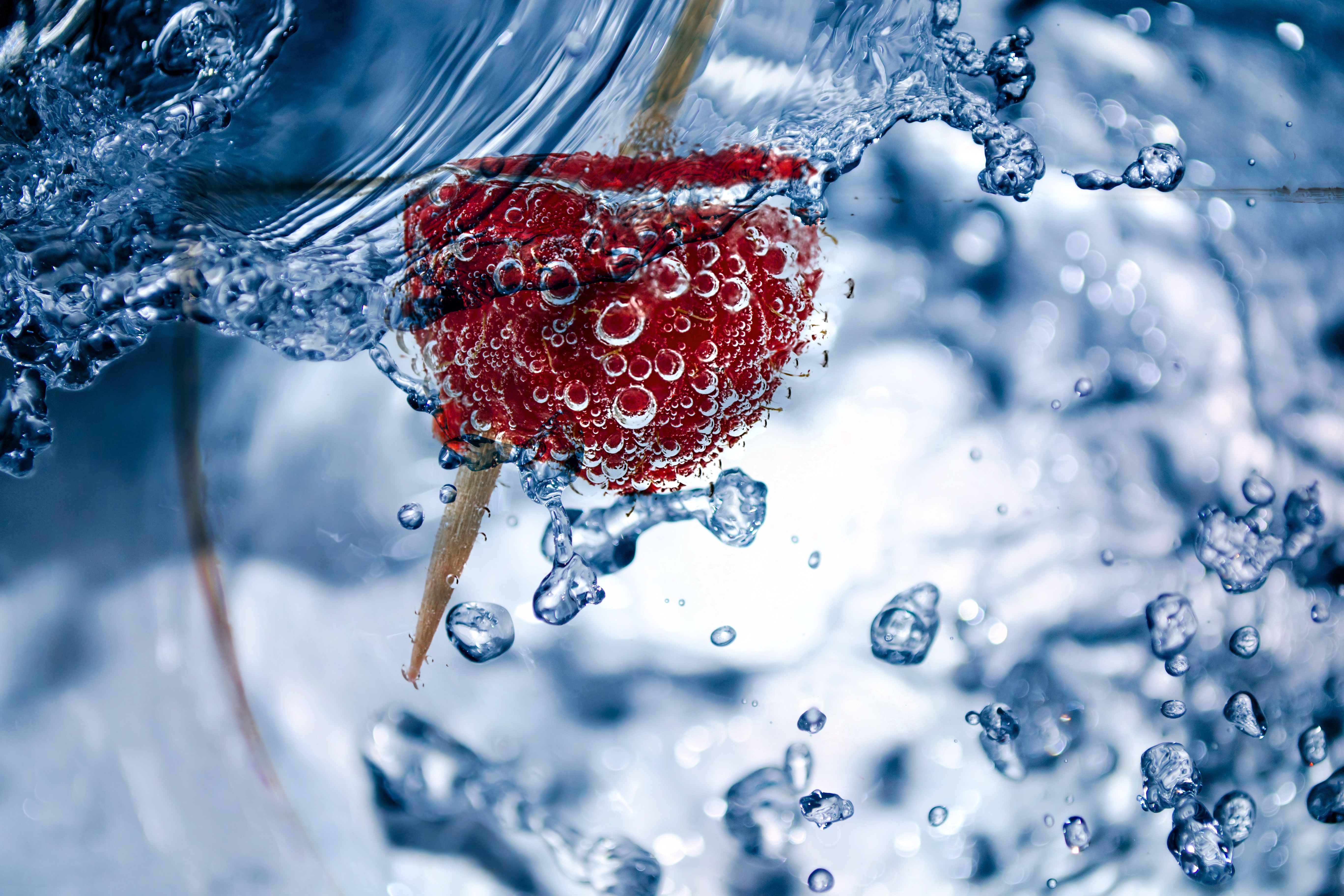 bubbles, raspberry, macro, close up, toothpick