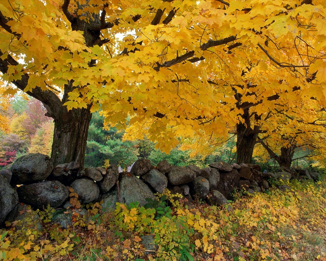 Téléchargez gratuitement l'image Automne, Photographie sur le bureau de votre PC