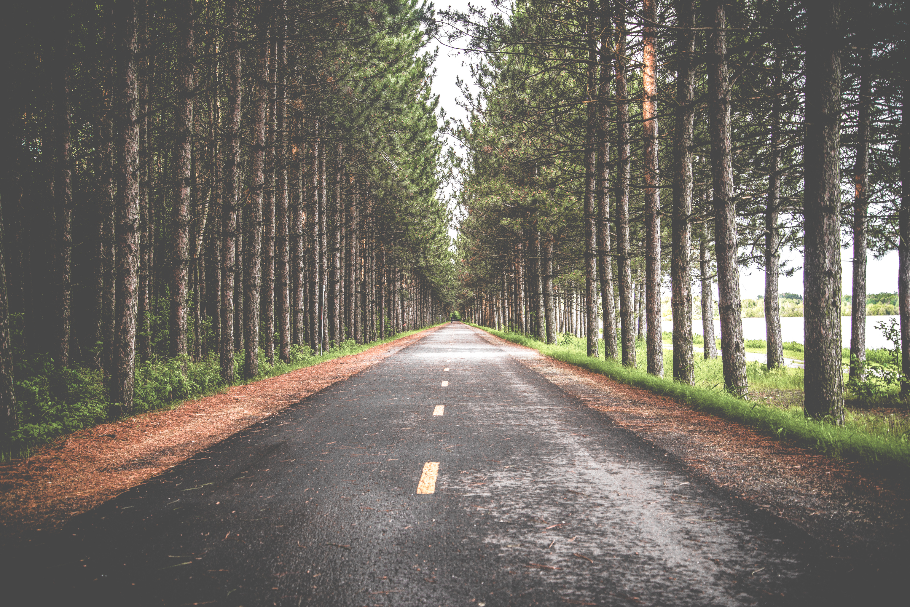 Free download wallpaper Nature, Road, Tree, Man Made, Tree Lined on your PC desktop