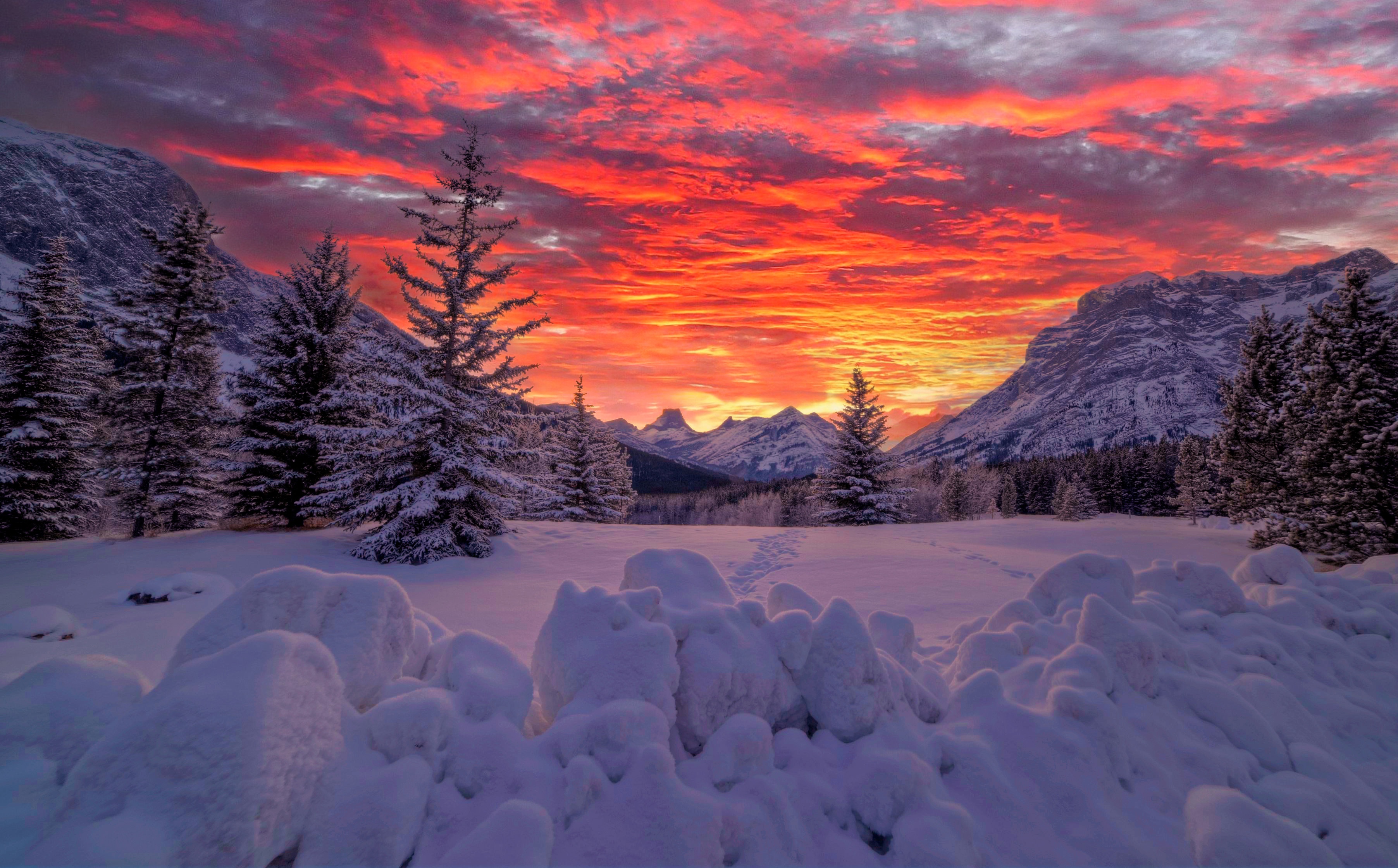 1001546 télécharger l'image rocheuses canadiennes, terre/nature, coucher de soleil, alberta, canada, sapin, montagne, neiger, hiver - fonds d'écran et économiseurs d'écran gratuits