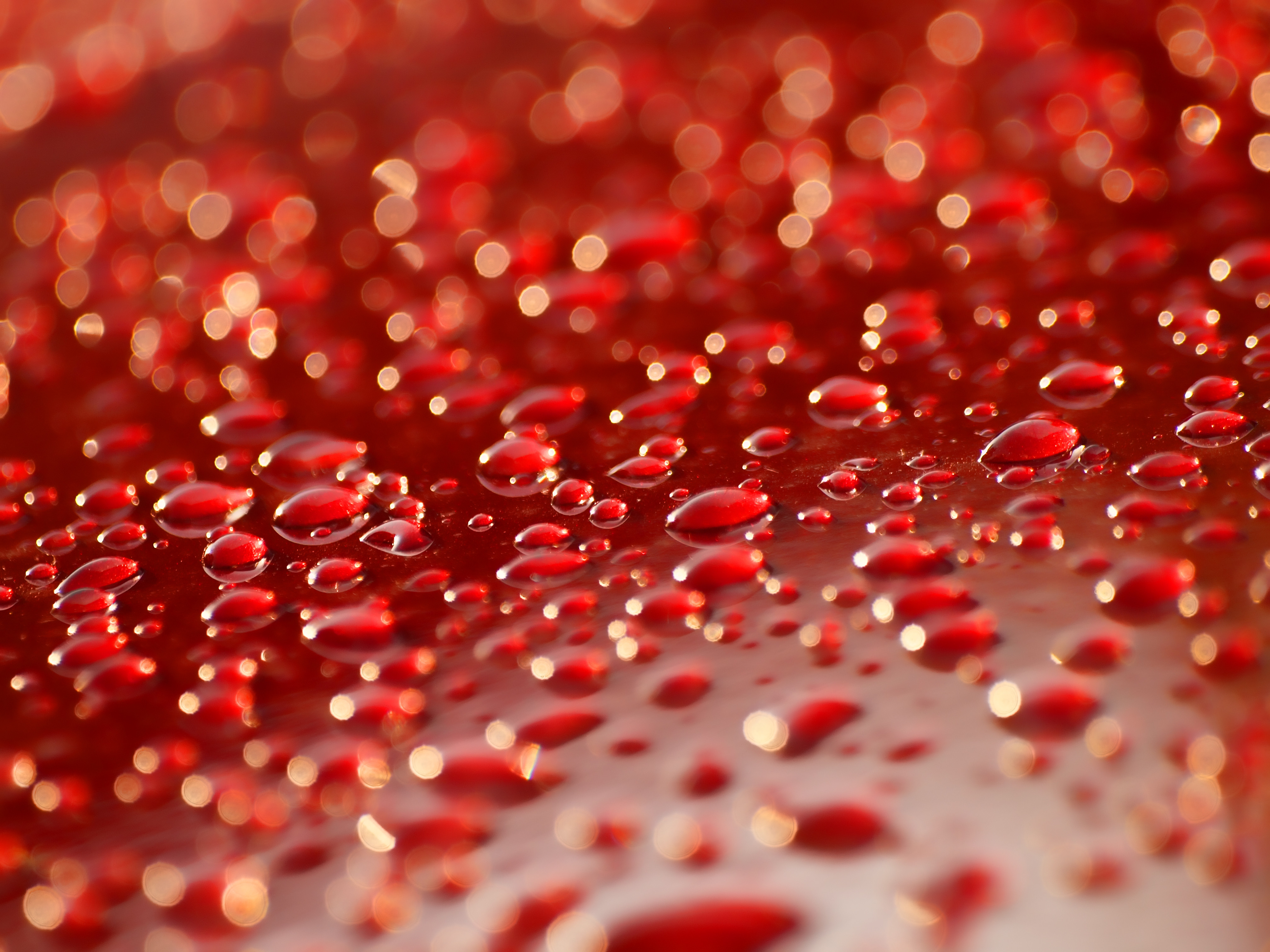 Download mobile wallpaper Macro, Surface, Drops for free.