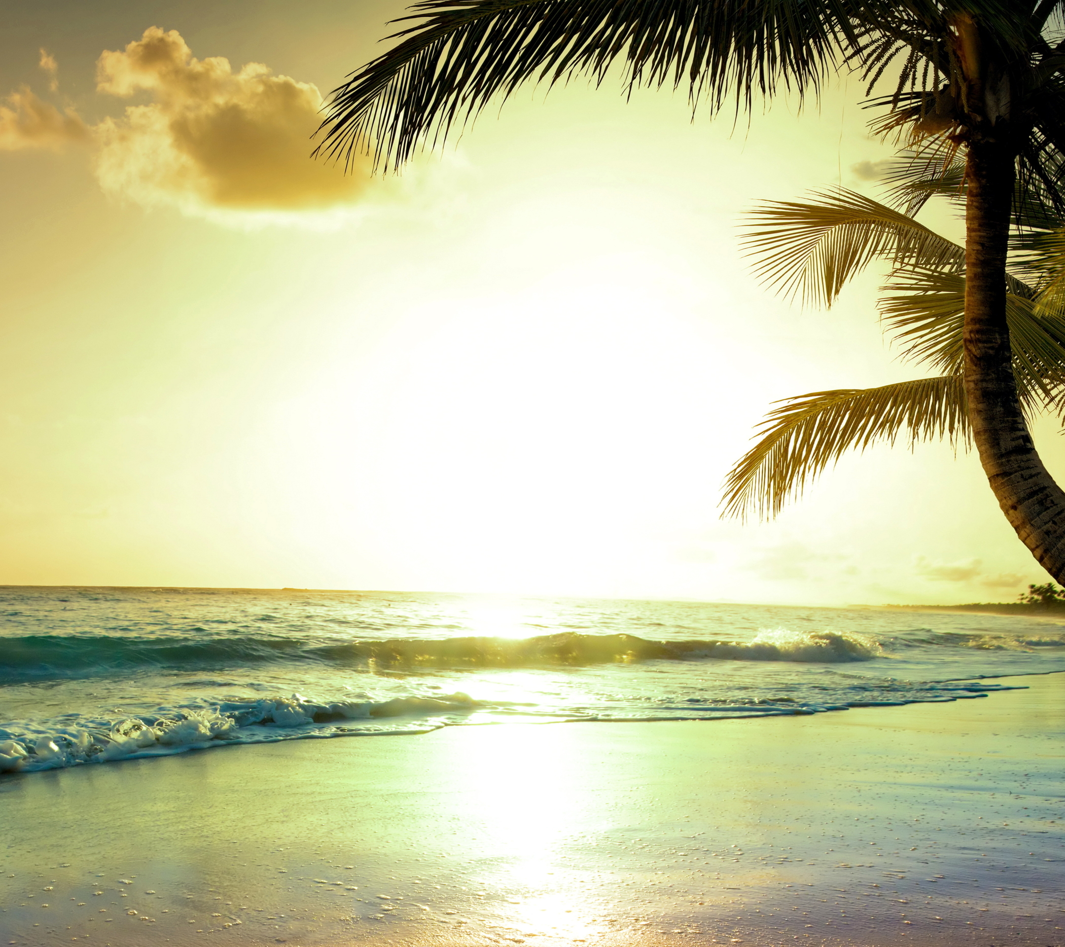 Free download wallpaper Sunset, Sky, Ocean, Earth, Tropical, Palm Tree on your PC desktop