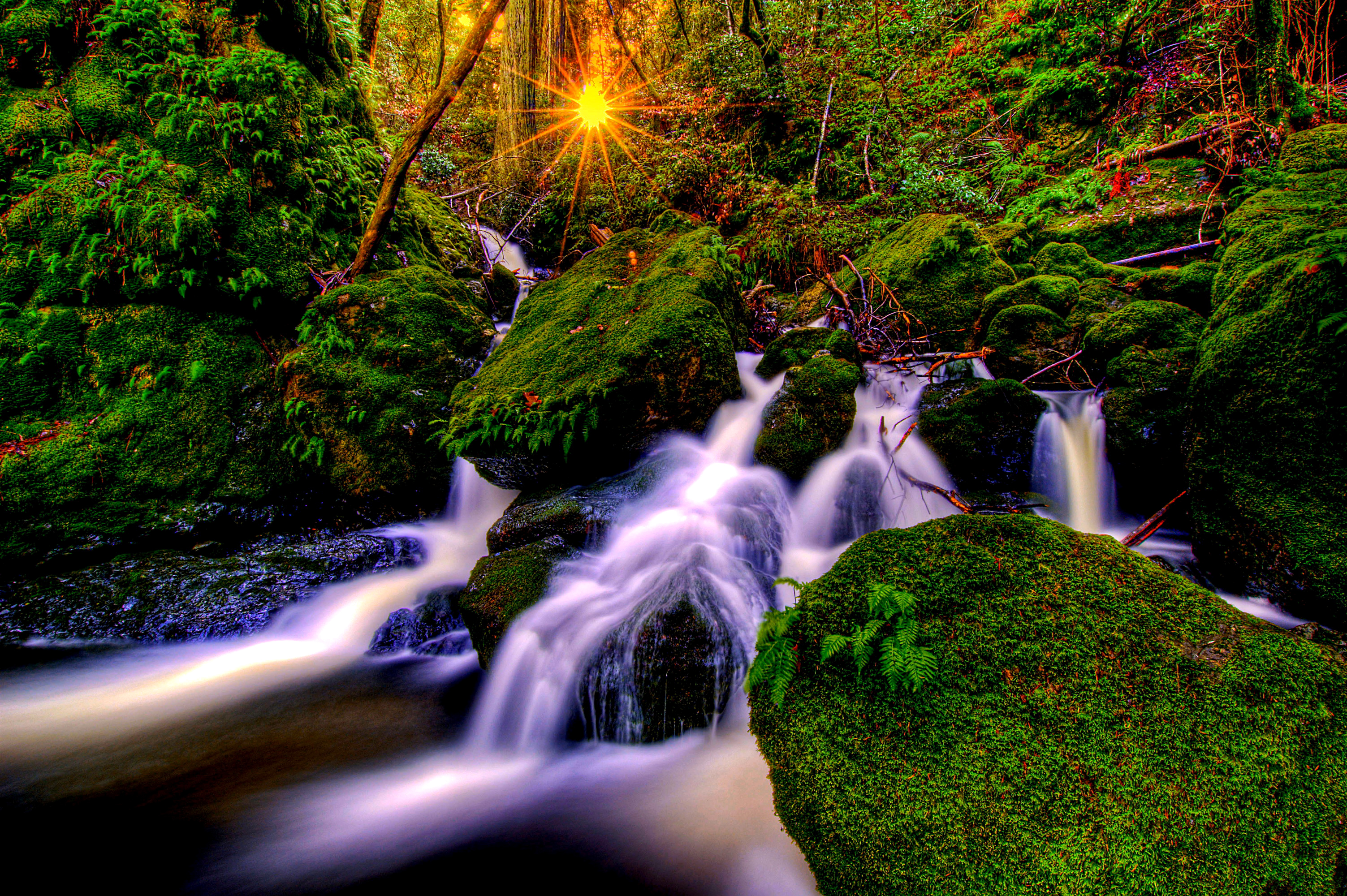 Download mobile wallpaper Sunset, Waterfalls, Waterfall, Forest, Earth, Moss, Sunbeam for free.