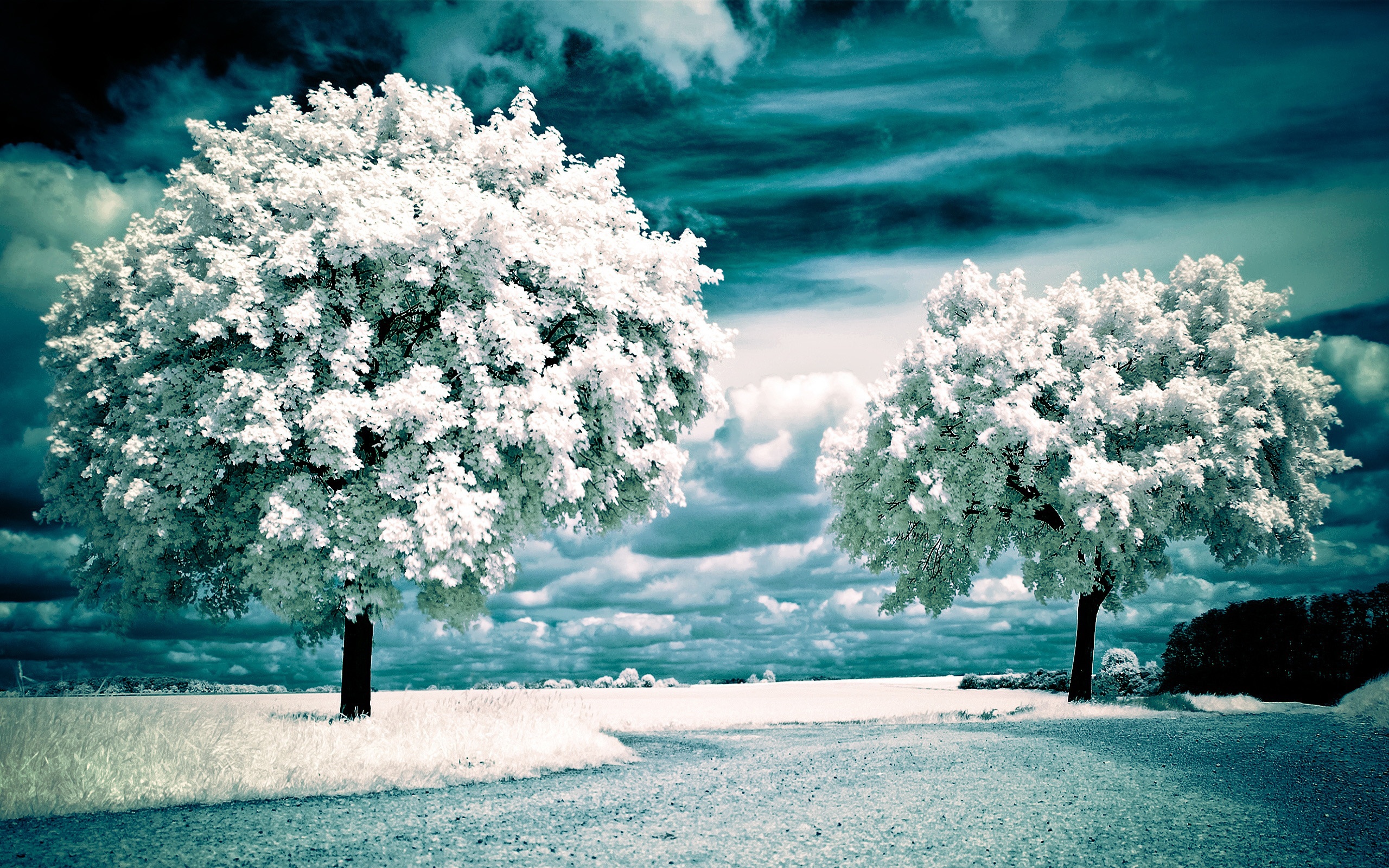 168259 descargar fondo de pantalla invierno, tierra/naturaleza, pintoresco, nieve: protectores de pantalla e imágenes gratis