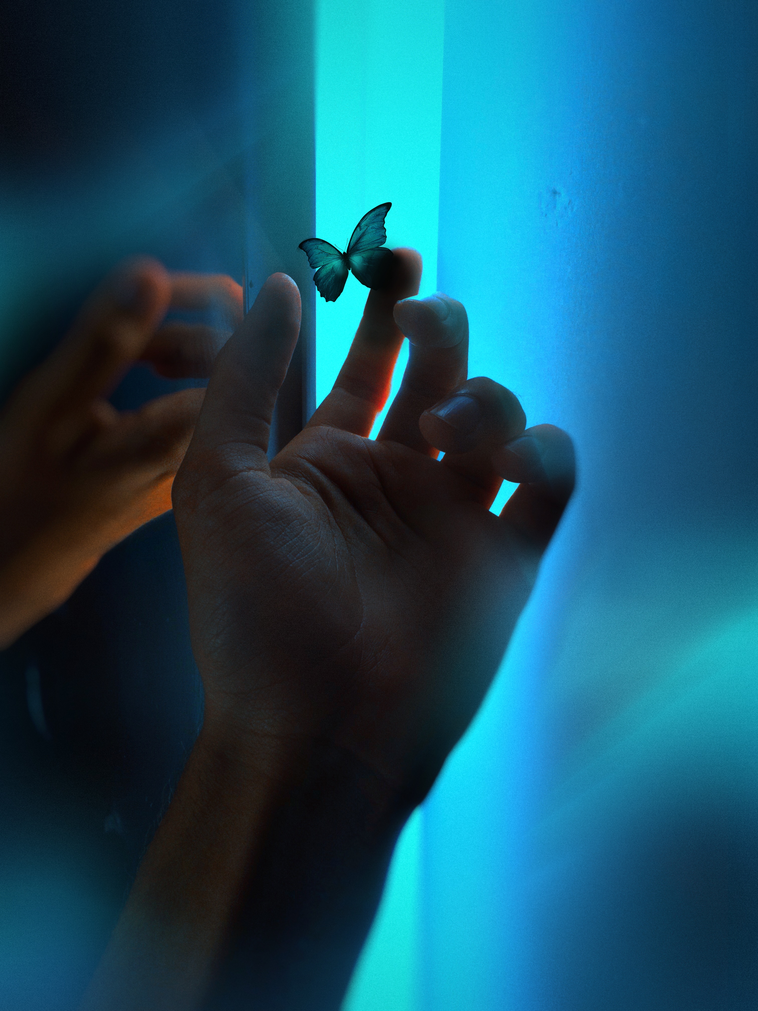 butterfly, blue, hand, miscellanea, miscellaneous, neon, glow, fingers cellphone