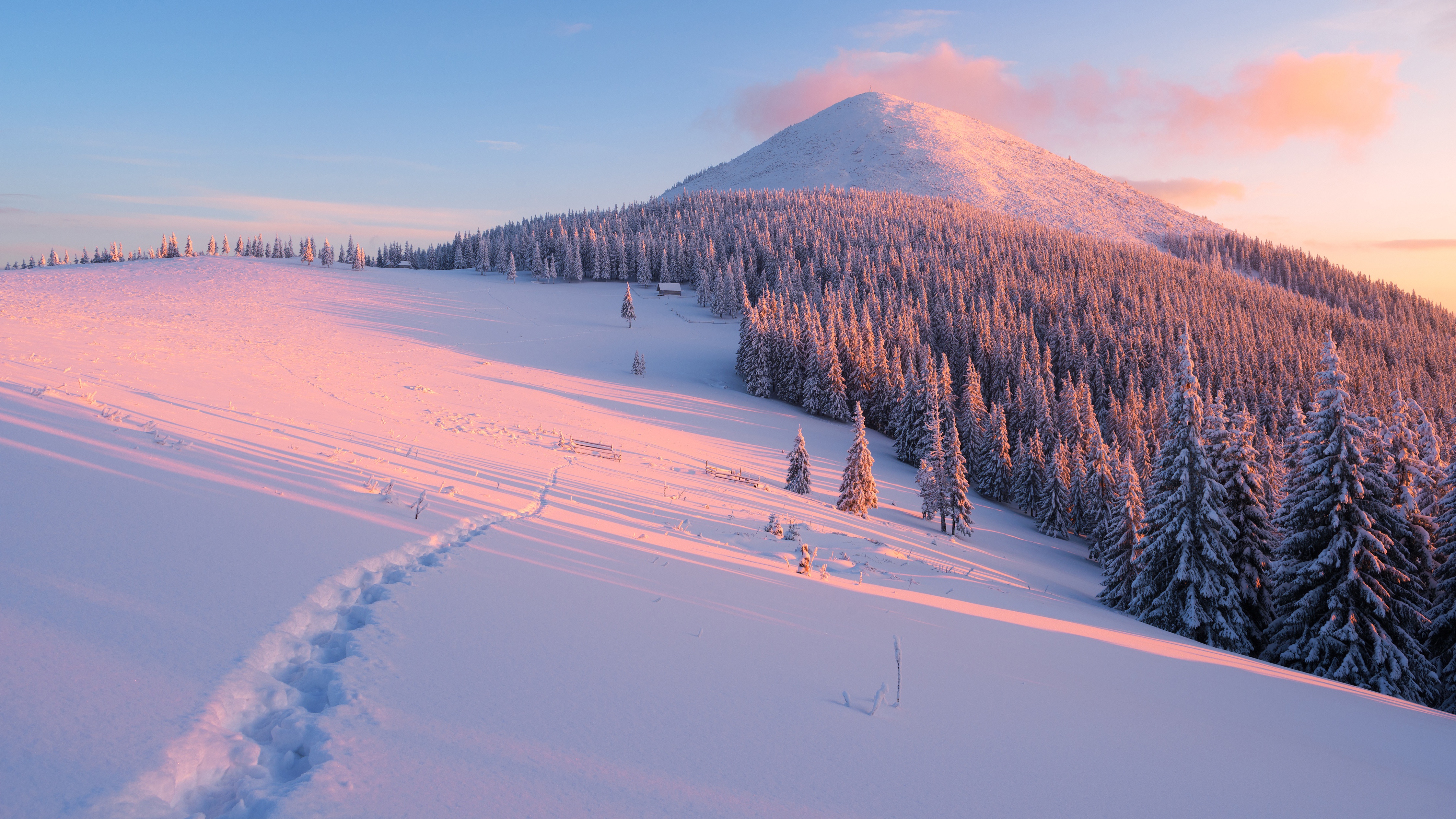 Descarga gratuita de fondo de pantalla para móvil de Invierno, Naturaleza, Nieve, Montaña, Bosque, Tierra/naturaleza.