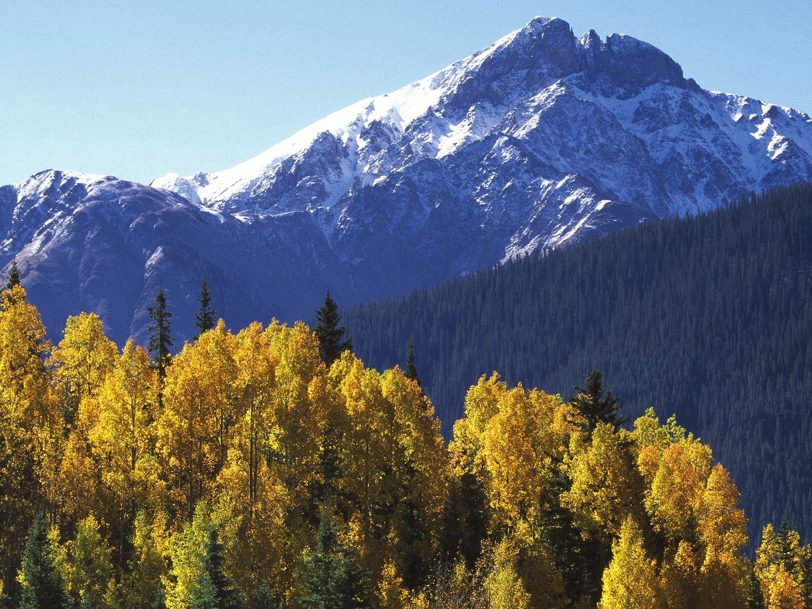 Laden Sie das Scheitel, Nach Oben, Natur, Bäume, Mountains, Herbst-Bild kostenlos auf Ihren PC-Desktop herunter