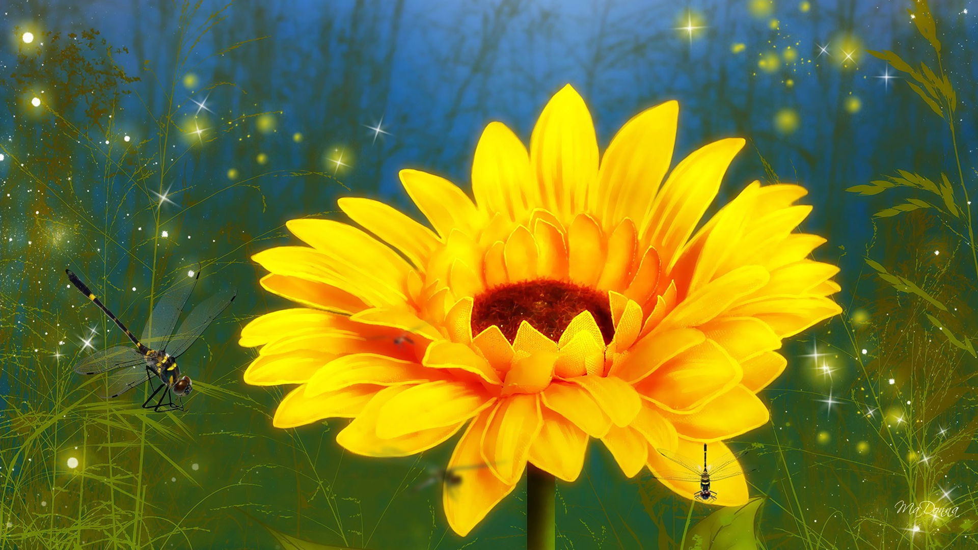 Free download wallpaper Flowers, Flower, Artistic, Daisy, Yellow Flower on your PC desktop